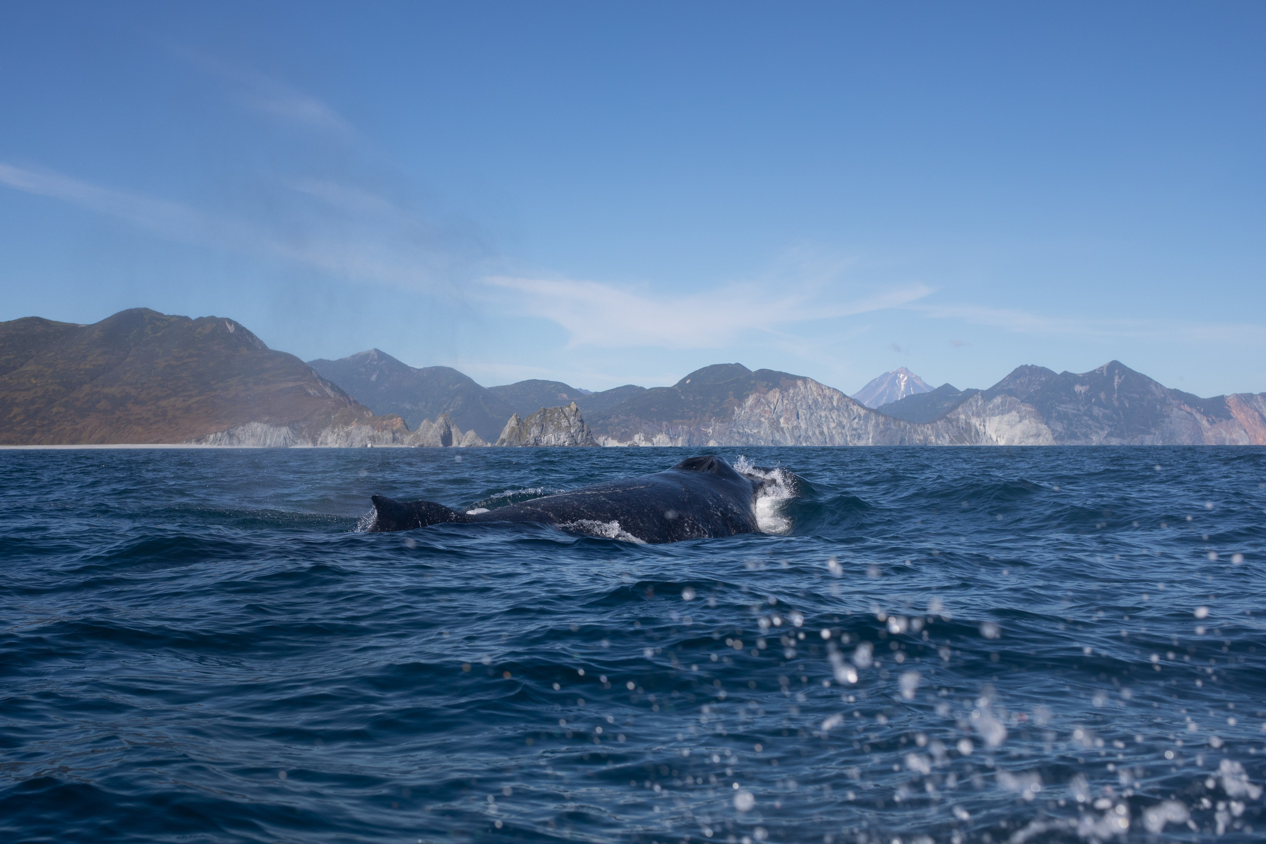 Kamchatka. Yulia Tsyganova