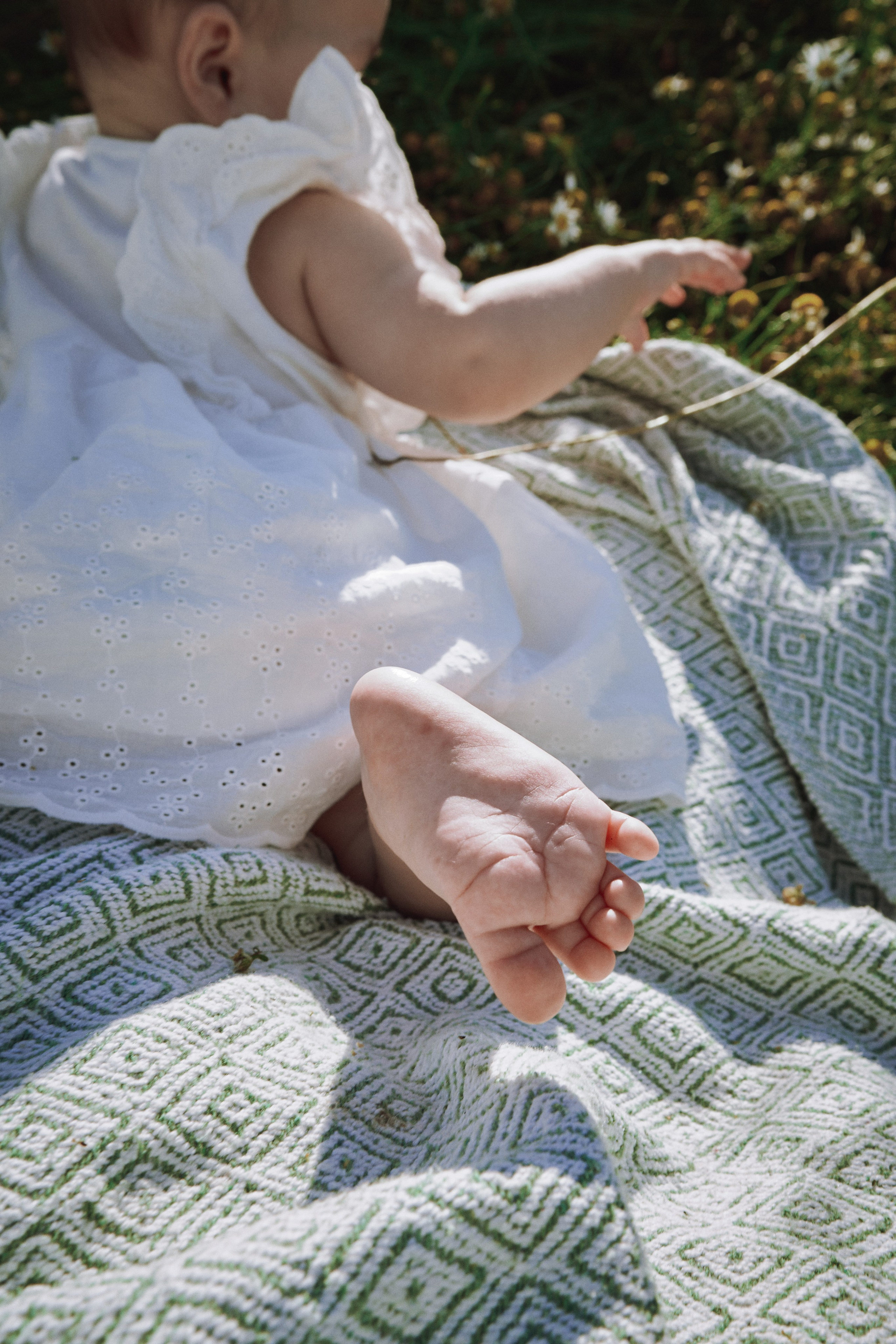 Поле с ромашками. Фотограф в Санкт-Петербурге | Аня Маленчук