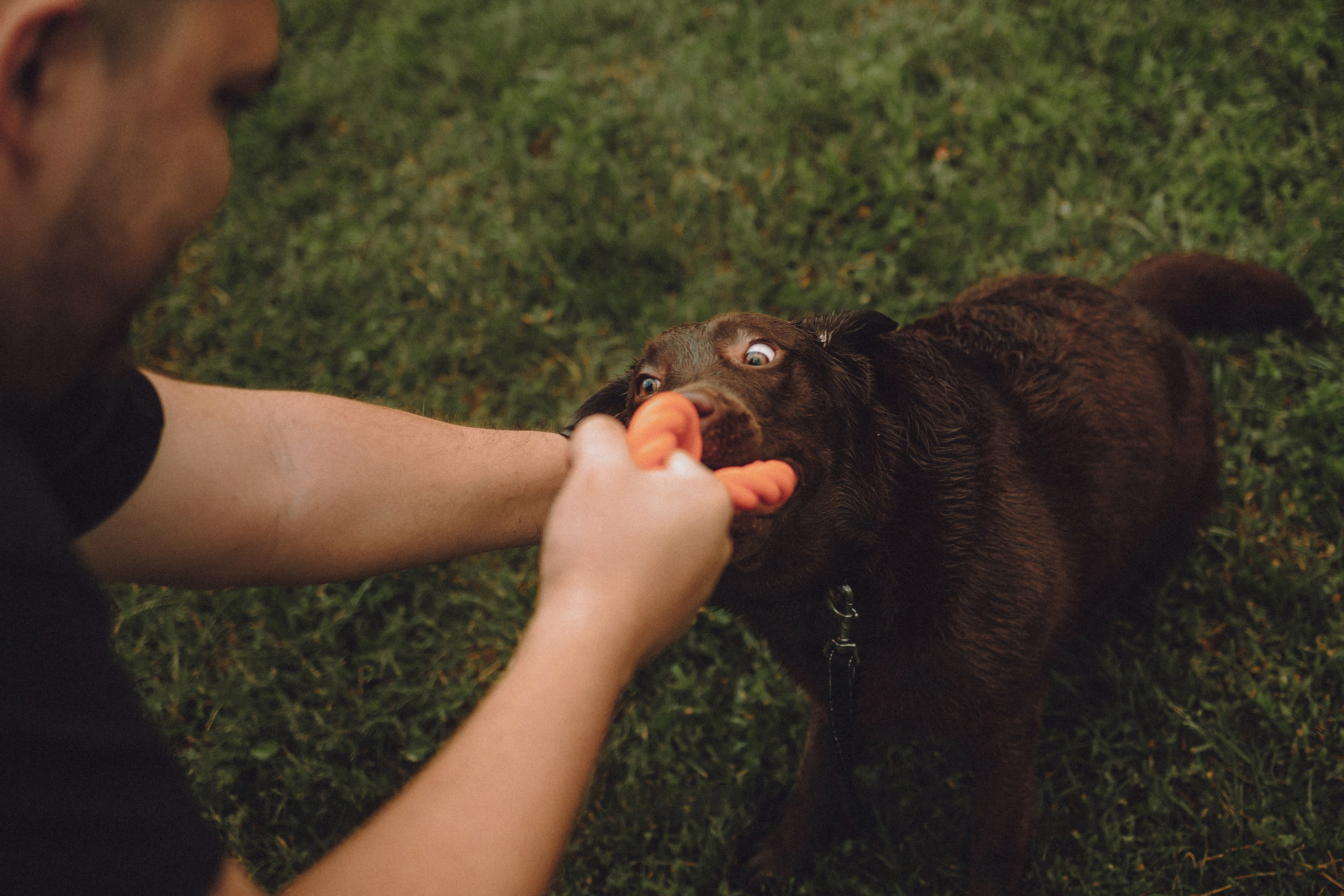 Катя, Ваня и Джеси