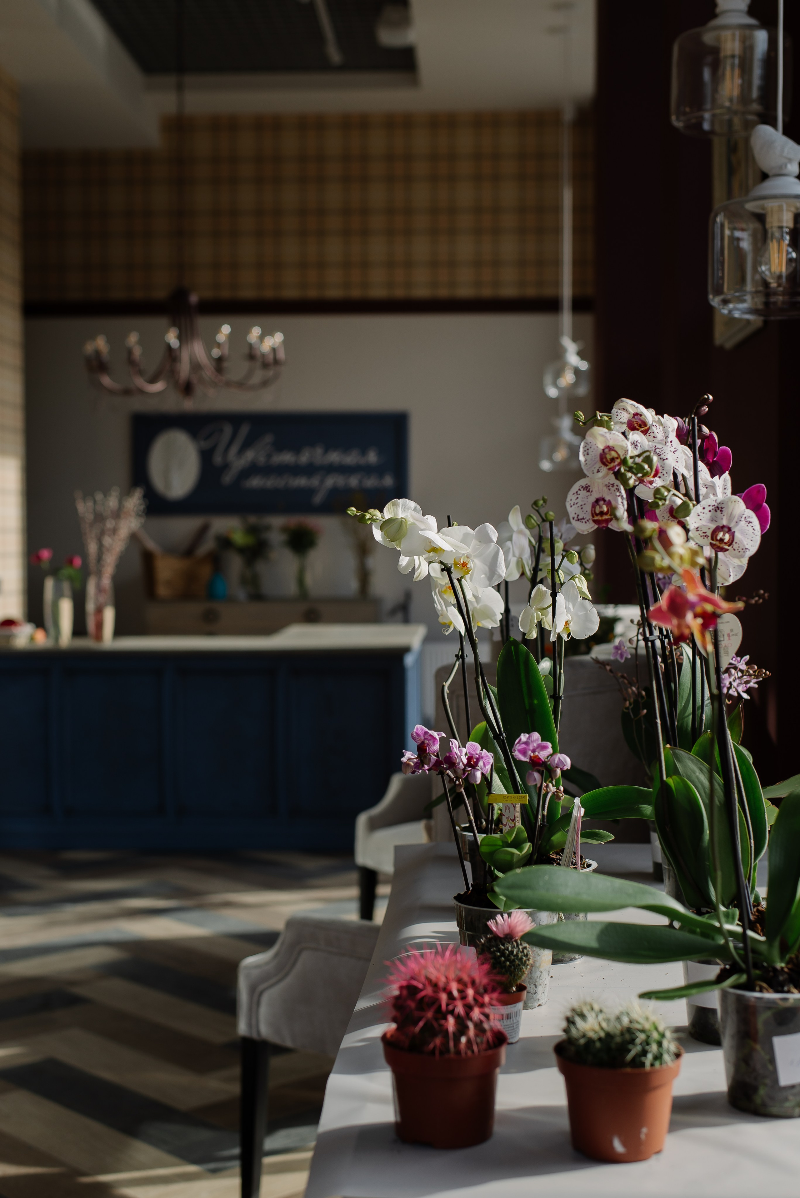 Garden Street. Портретный фотограф Ксения Люндовская