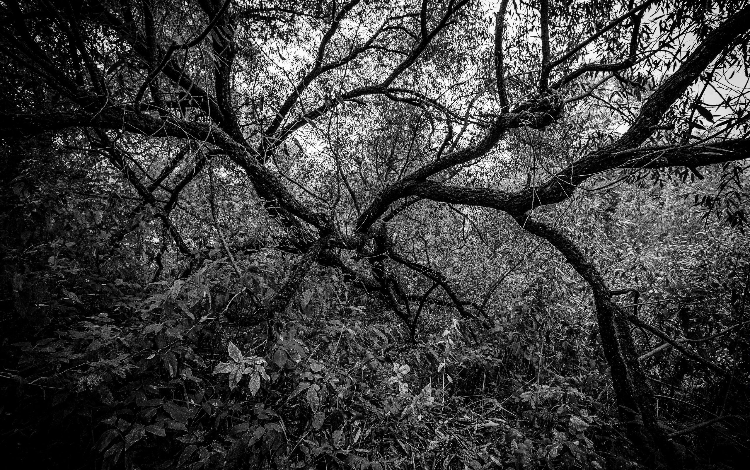 ПЕЙЗАЖ. Фотограф Николай Костюк