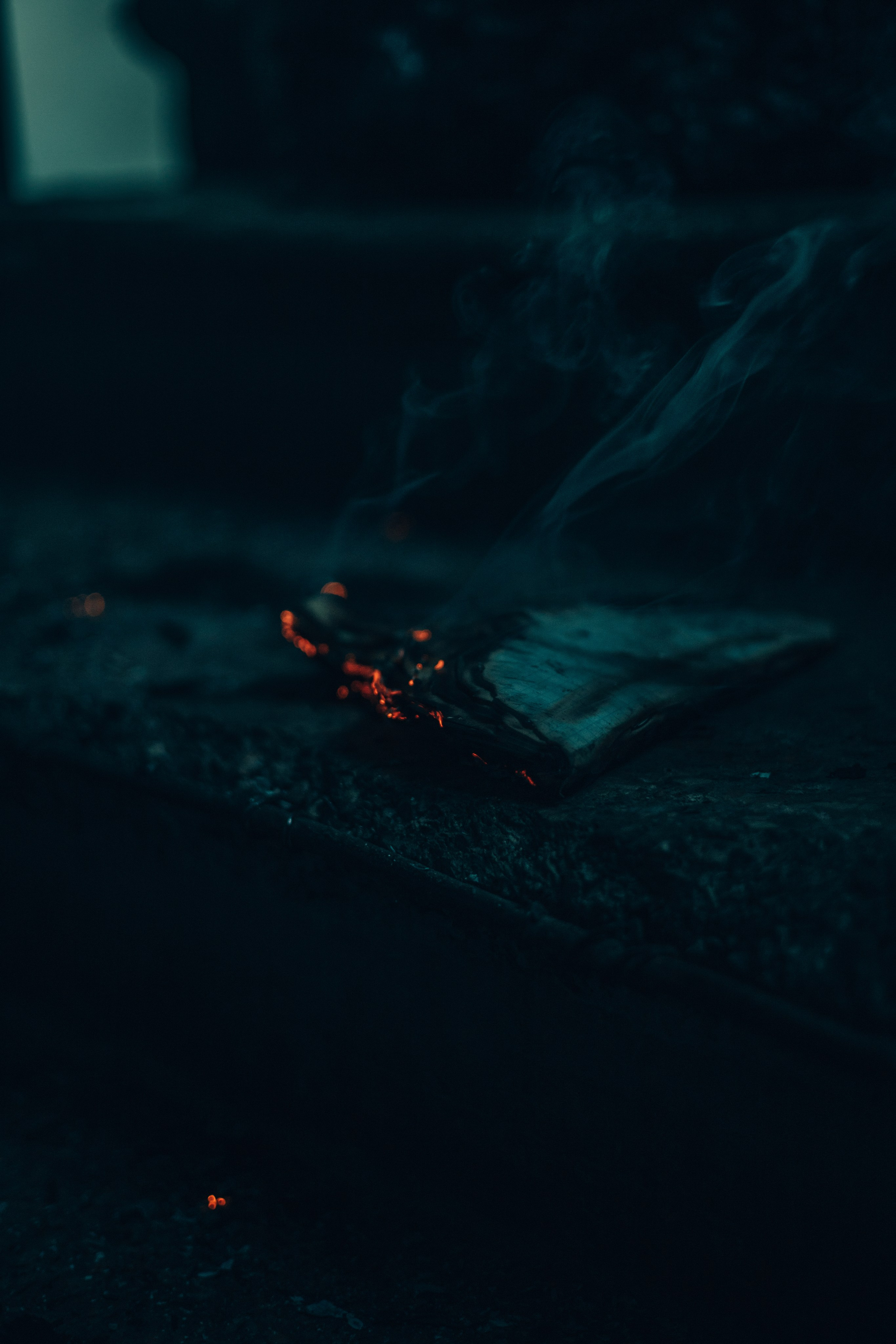 Екатерина. Gorbunova Alina Фотограф