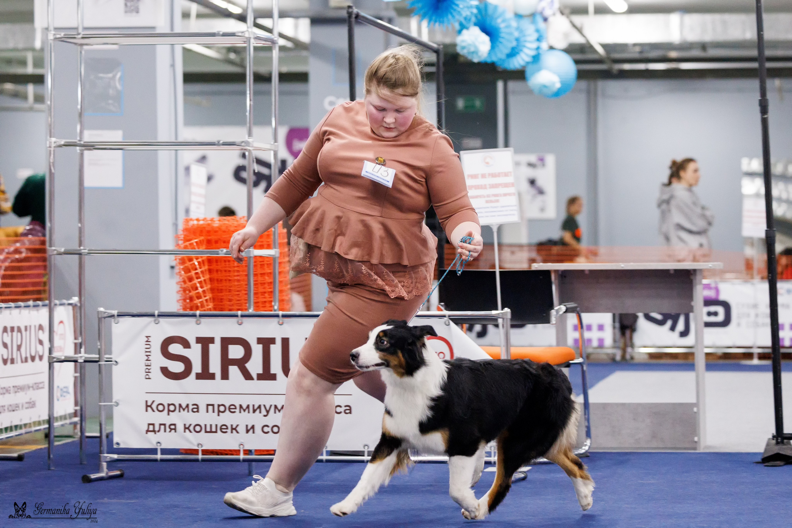 Сфера 28.01. и 4.02.2024. Фотограф-анималист Юлия Германика