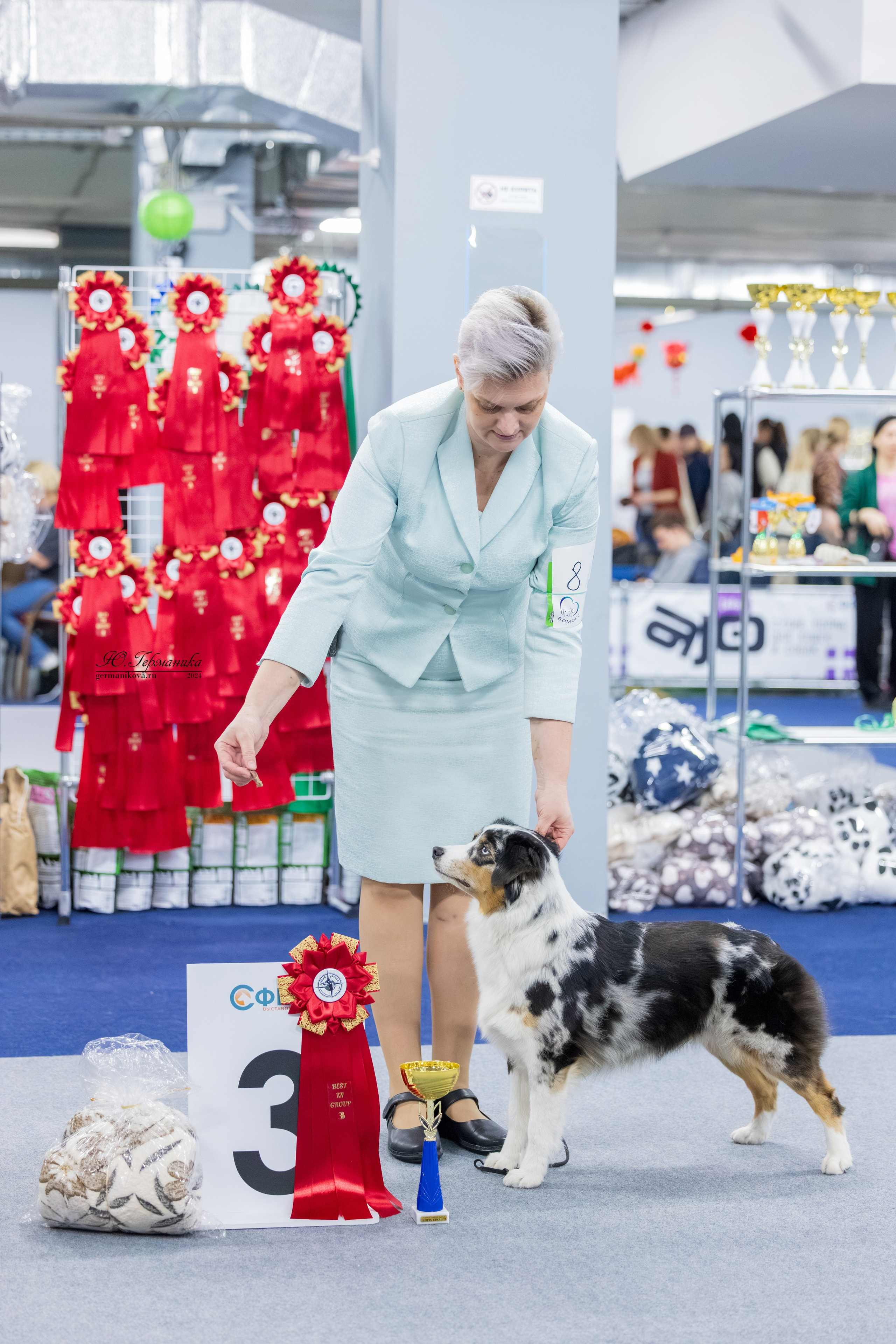 Сфера 08 и 10.03.2024 2хмоно ротвейлеров+2хмоно сао. Фотограф-анималист Юлия Германика