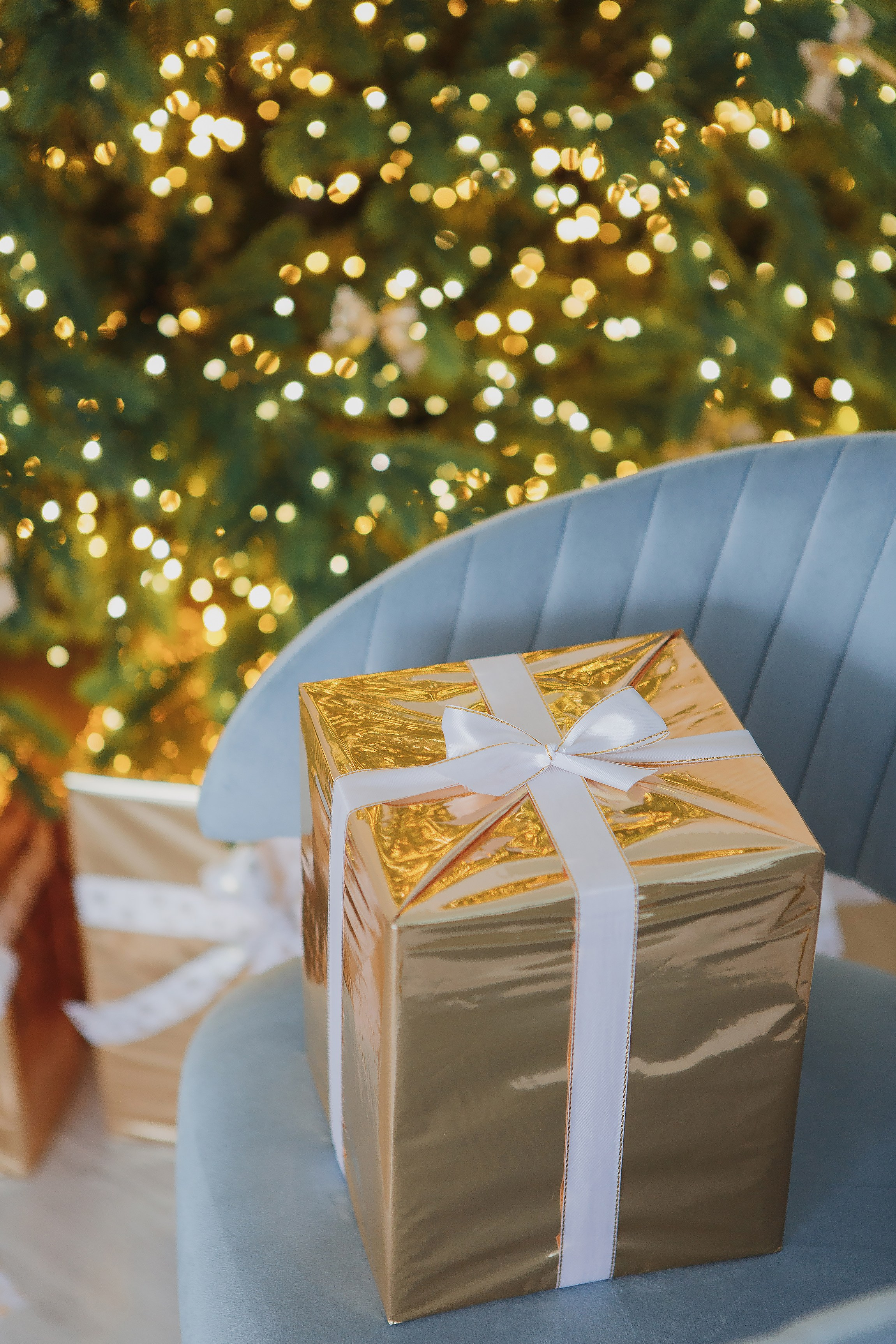 Смузи — зал Контент (циклорама и зона с елкой) Изумрудные Холмы. Семейный и детский фотограф в Москве и МО — Александра