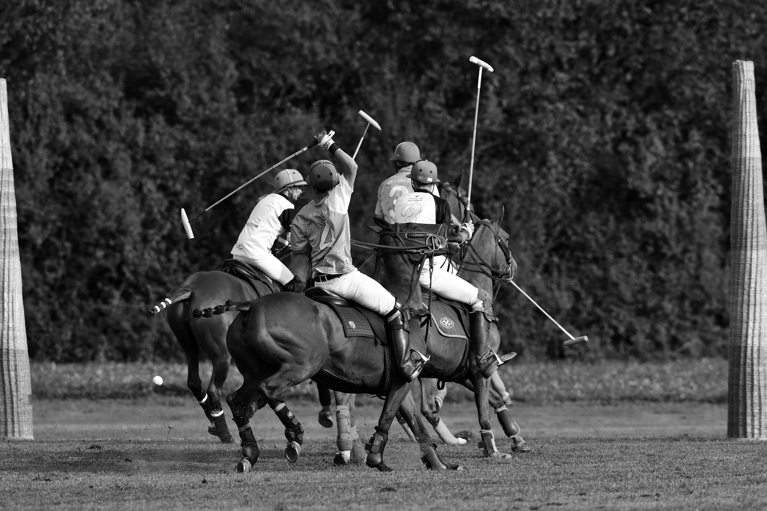Polo art photos. Art photos of horses — ARTUR BABOEV | Photographer