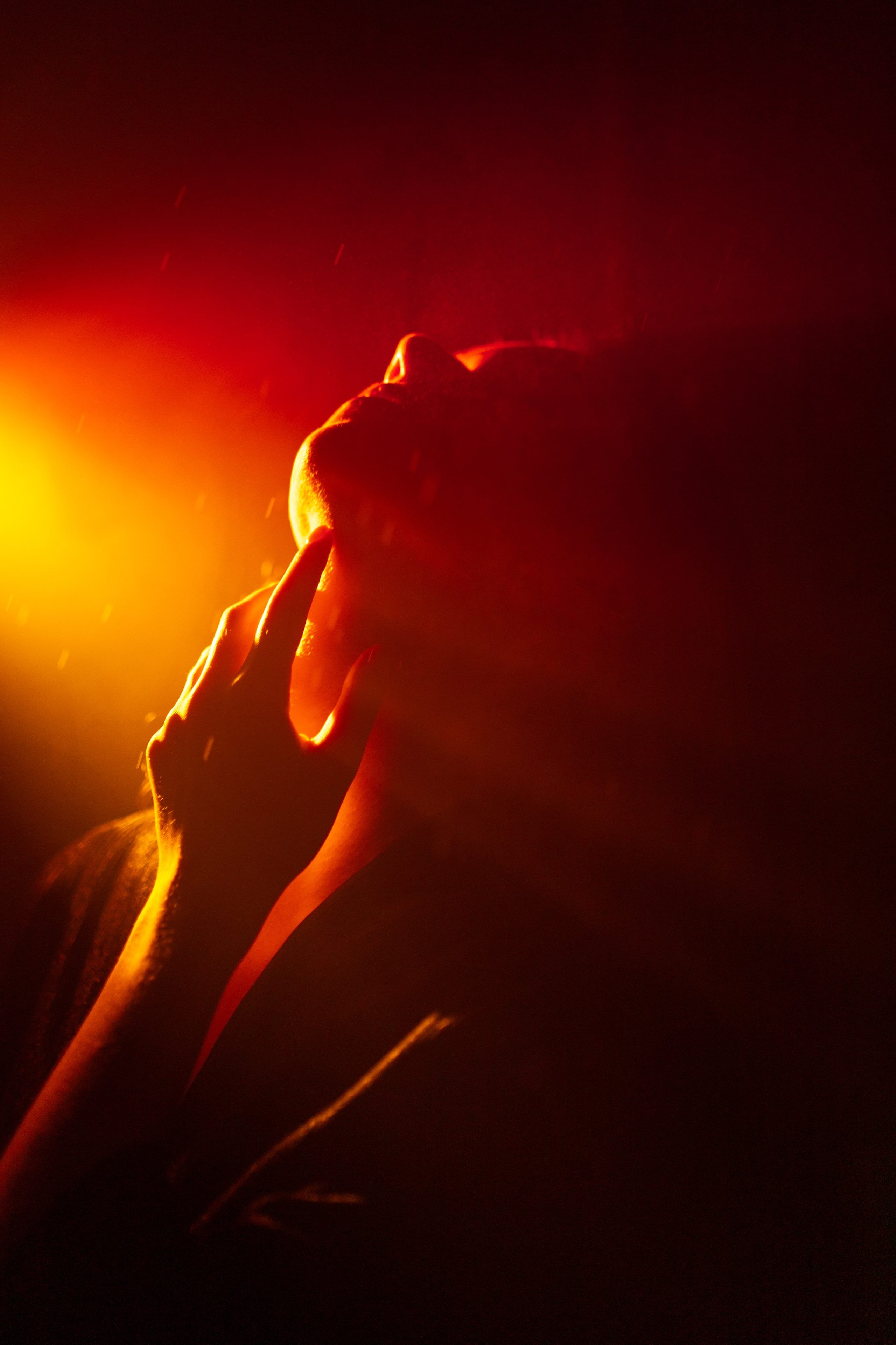 Art. Анастасия Зверева