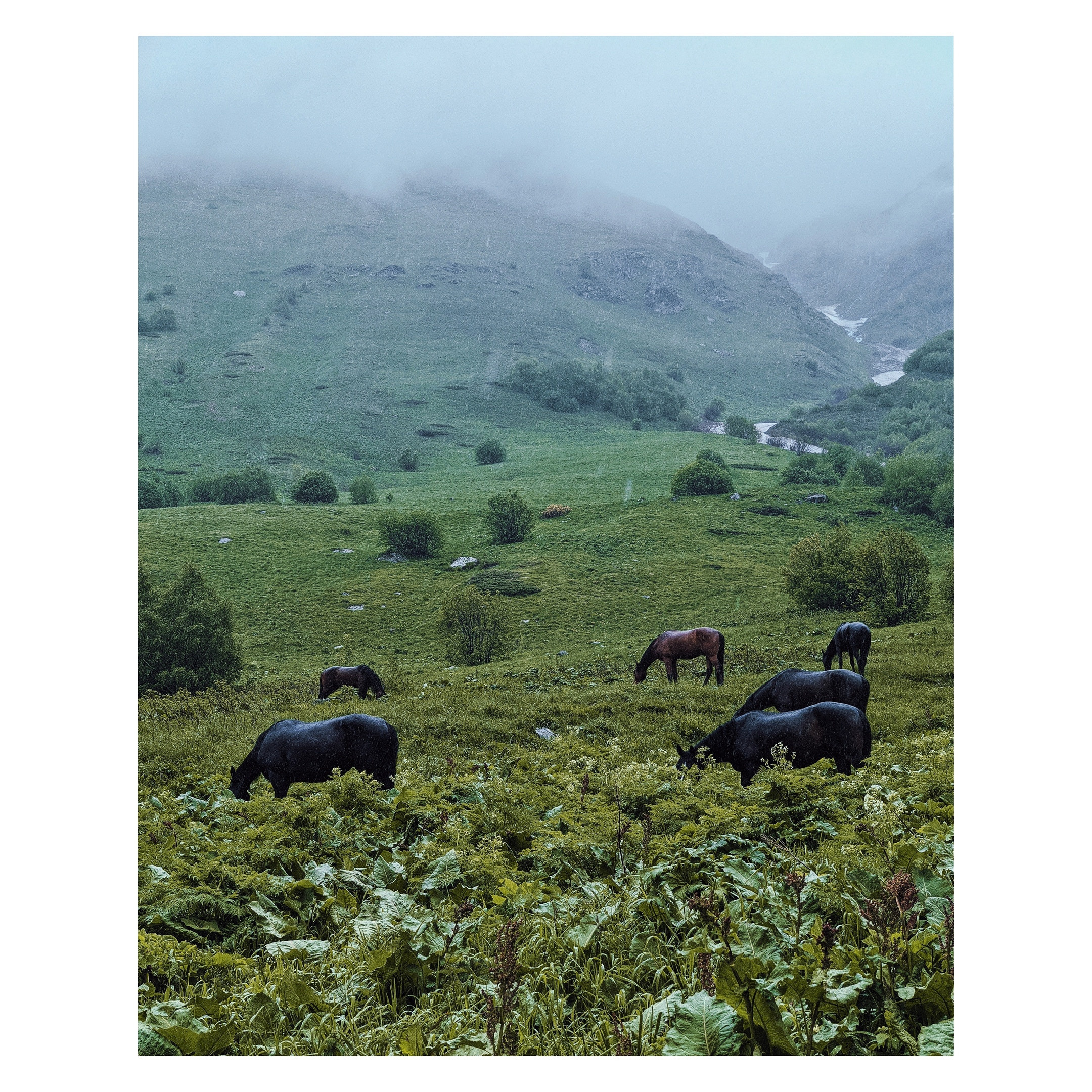 Домбай. Фотограф Дмитрий Олрайт | Калуга, Россия
