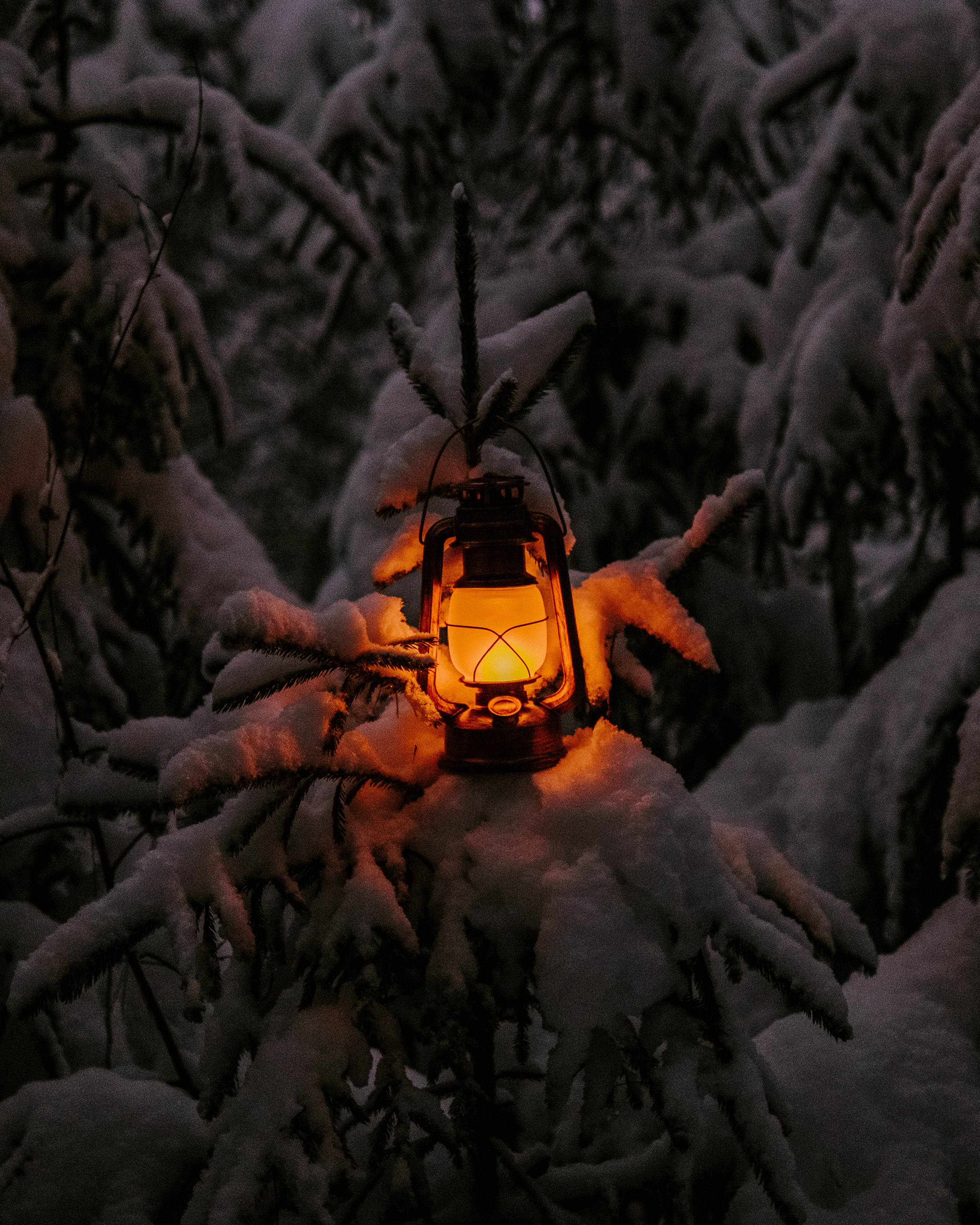 ZHENYA. Фотограф Дмитрий Олрайт | Калуга, Россия