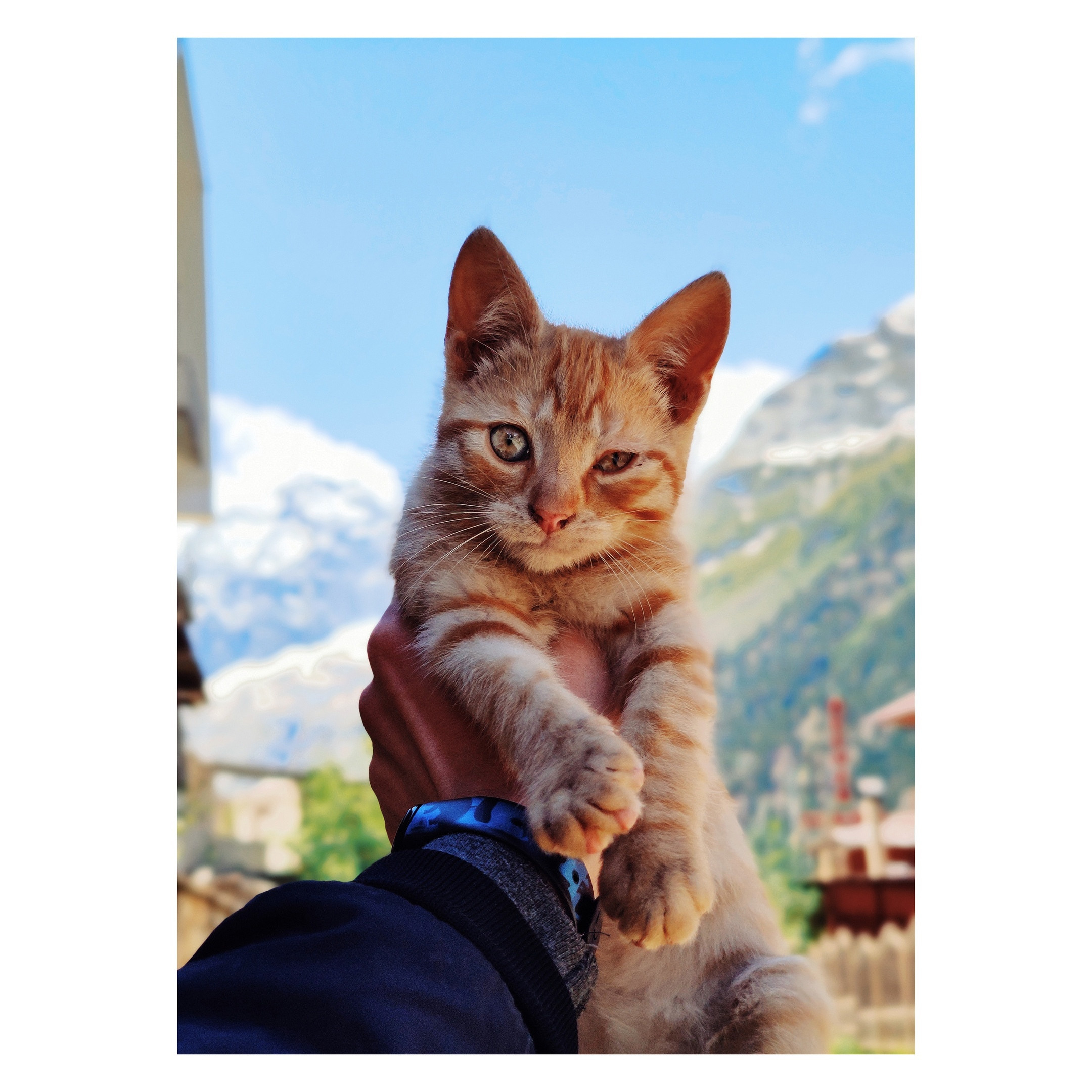 Домбай. Фотограф Дмитрий Олрайт | Калуга, Россия