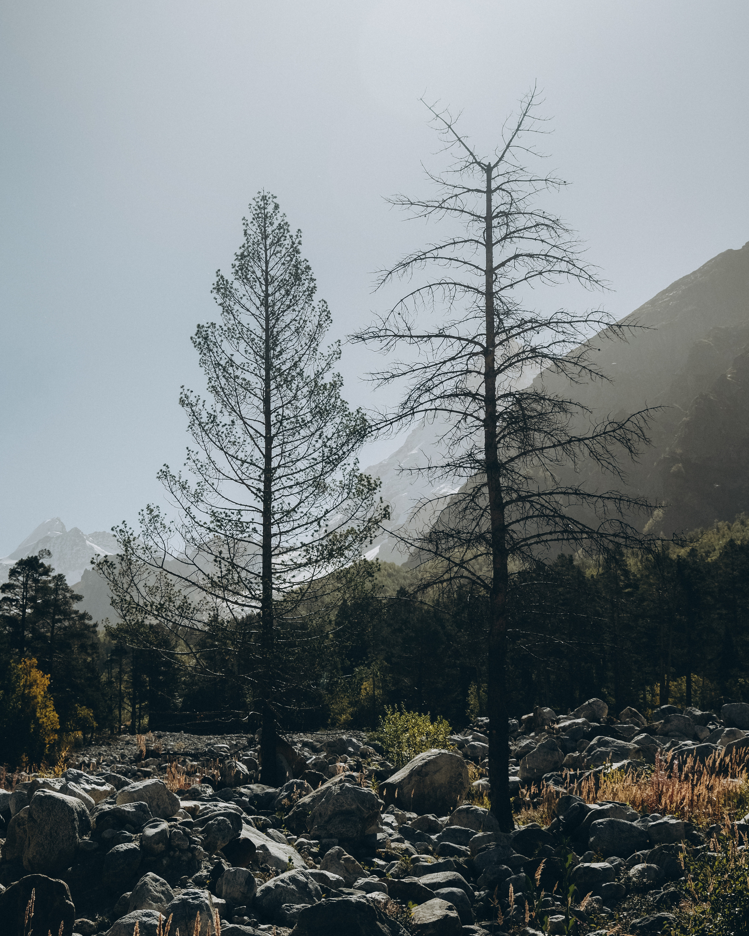 Приэльбрусье. Фотограф Дмитрий Олрайт | Калуга, Россия