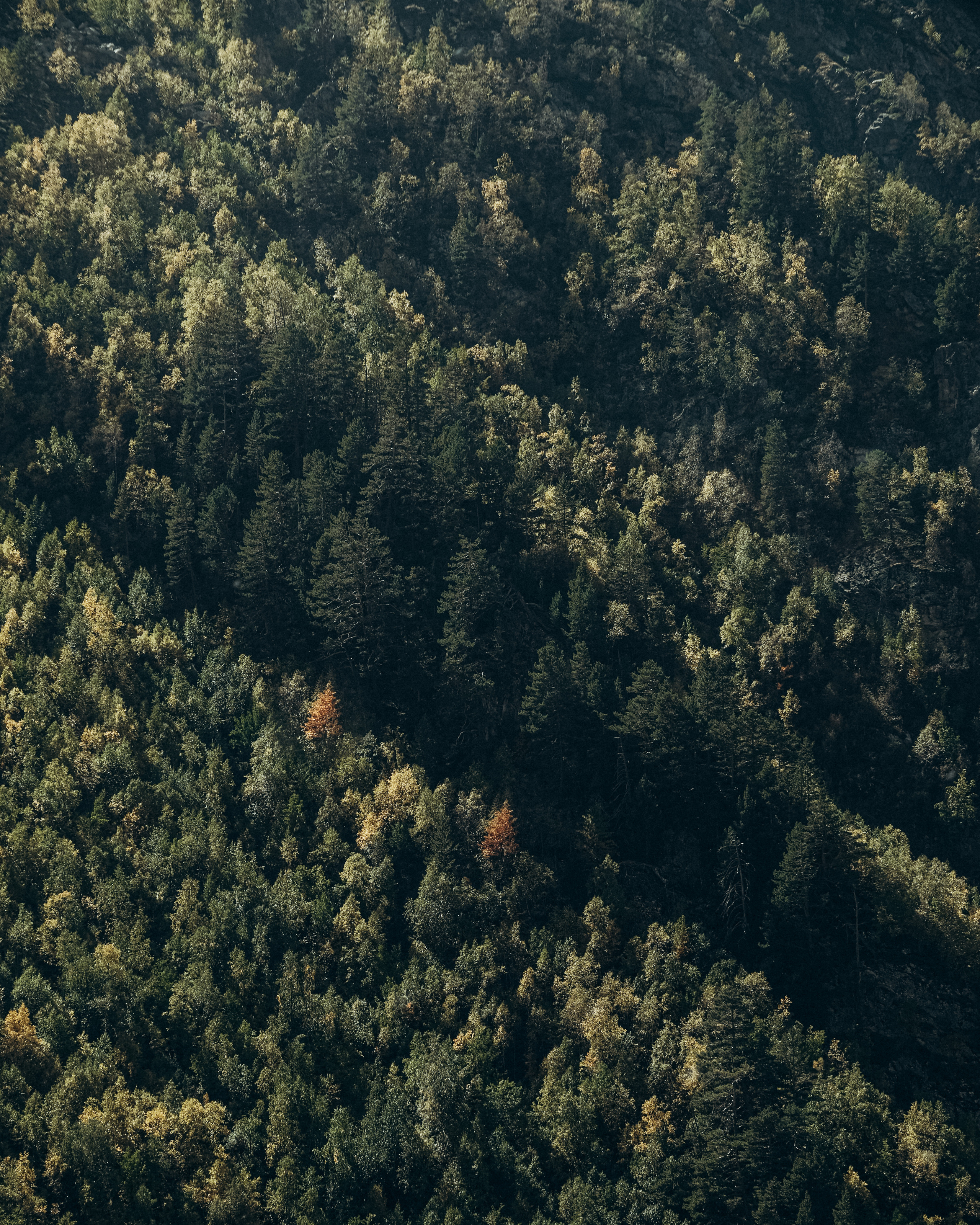 Приэльбрусье. Фотограф Дмитрий Олрайт | Калуга, Россия