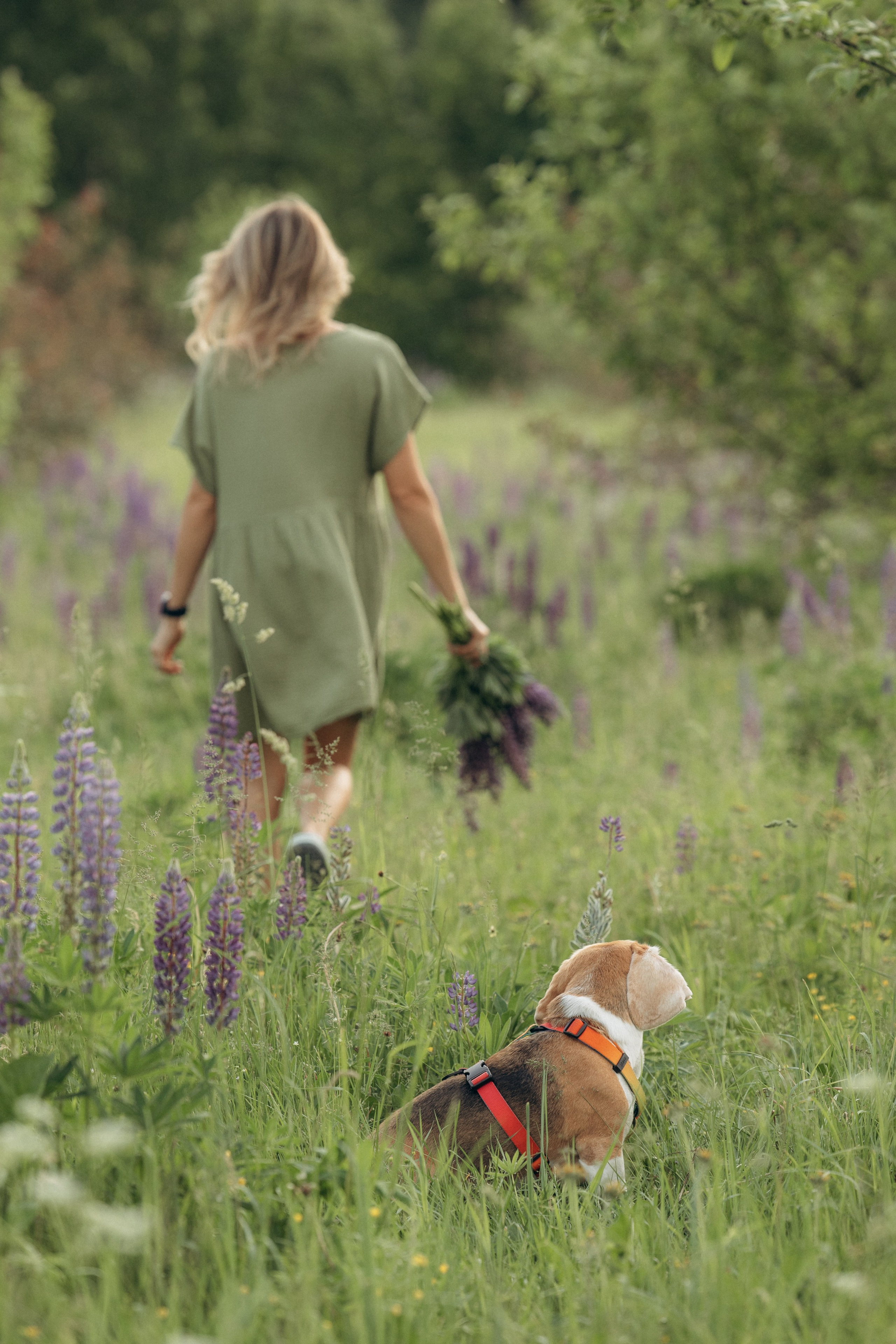 Кристина и Нора. На закате дня. Фотограф анималист в Казани Алина Сулейманова. Фотограф животных