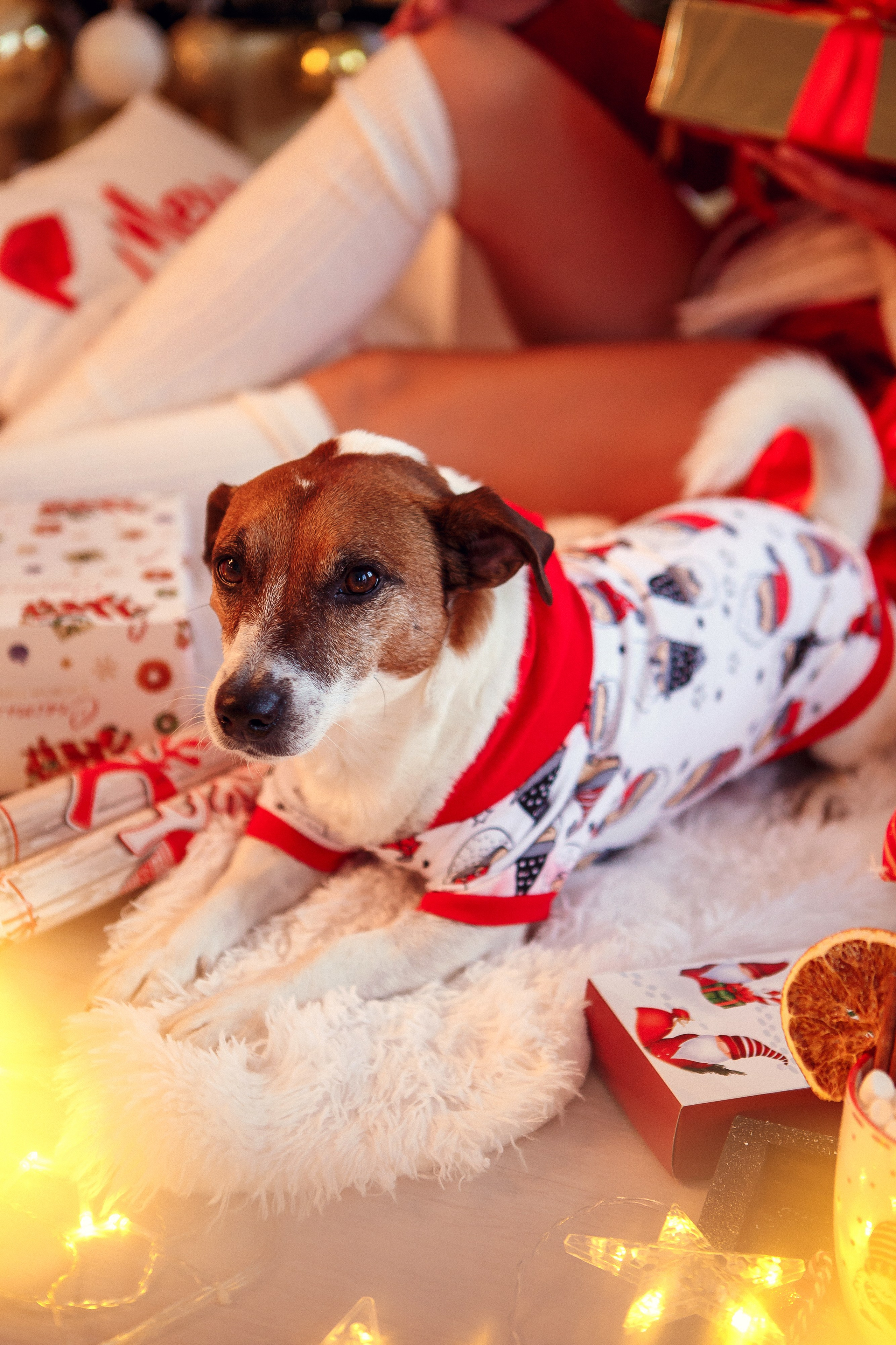 «Пижамный» Новый Год. Фотограф в Иваново и других городах Ирина Сметанкина