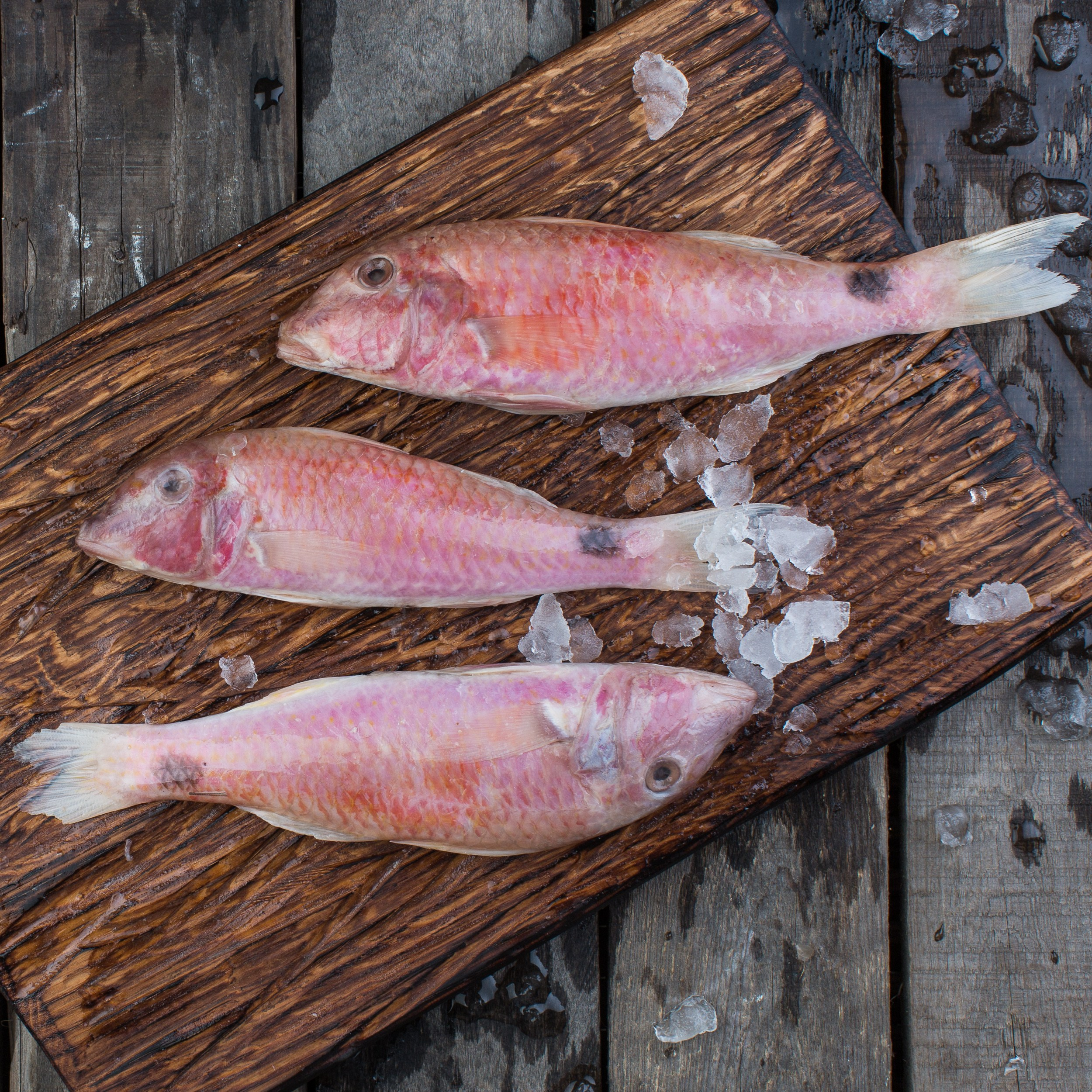 Каталоги продуктов. Фотограф Андрей Величко