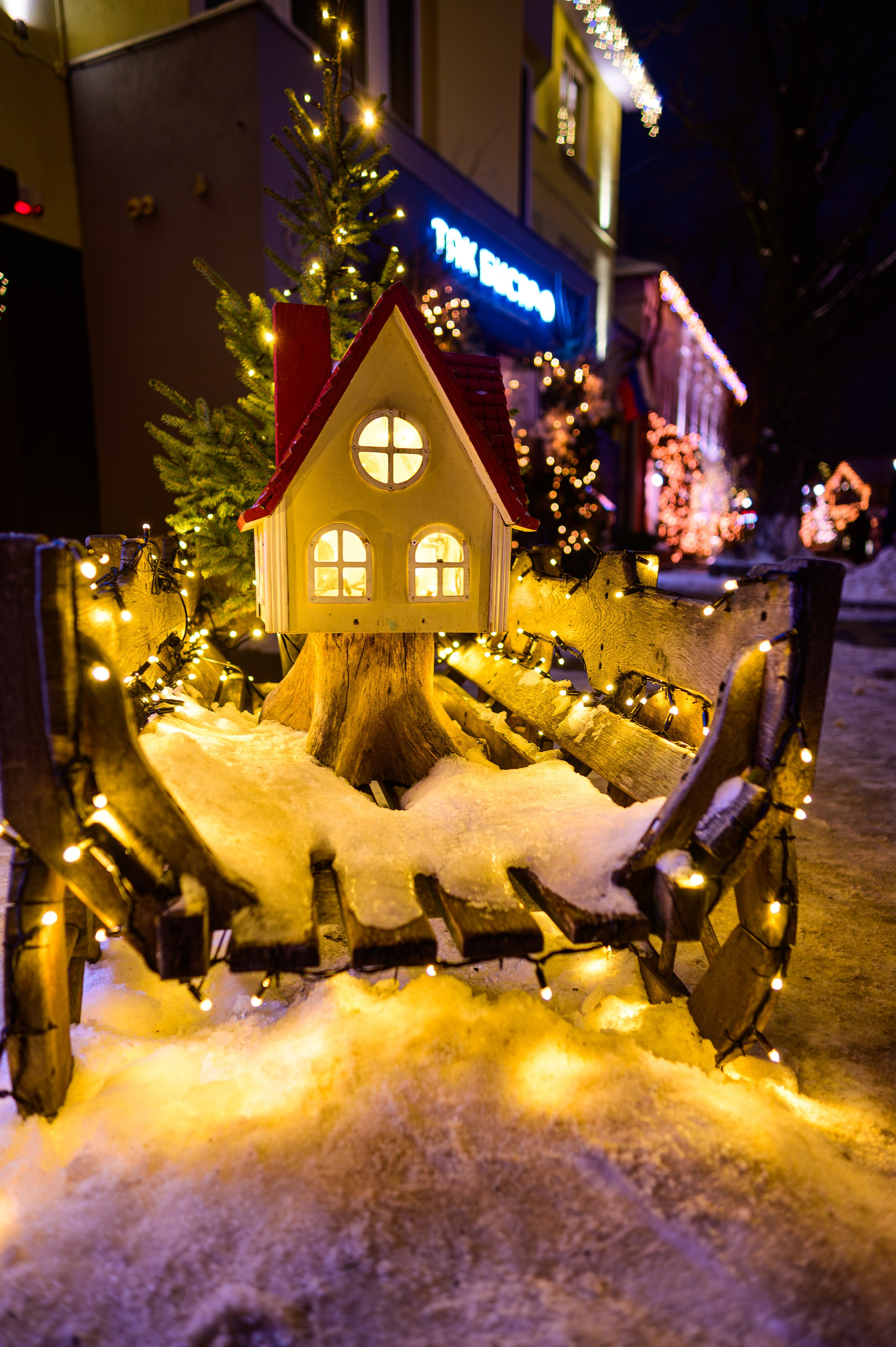 Зимняя Калининградская область. Фотосъемка и видеосъемка в Калининграде Liveemotion.pro