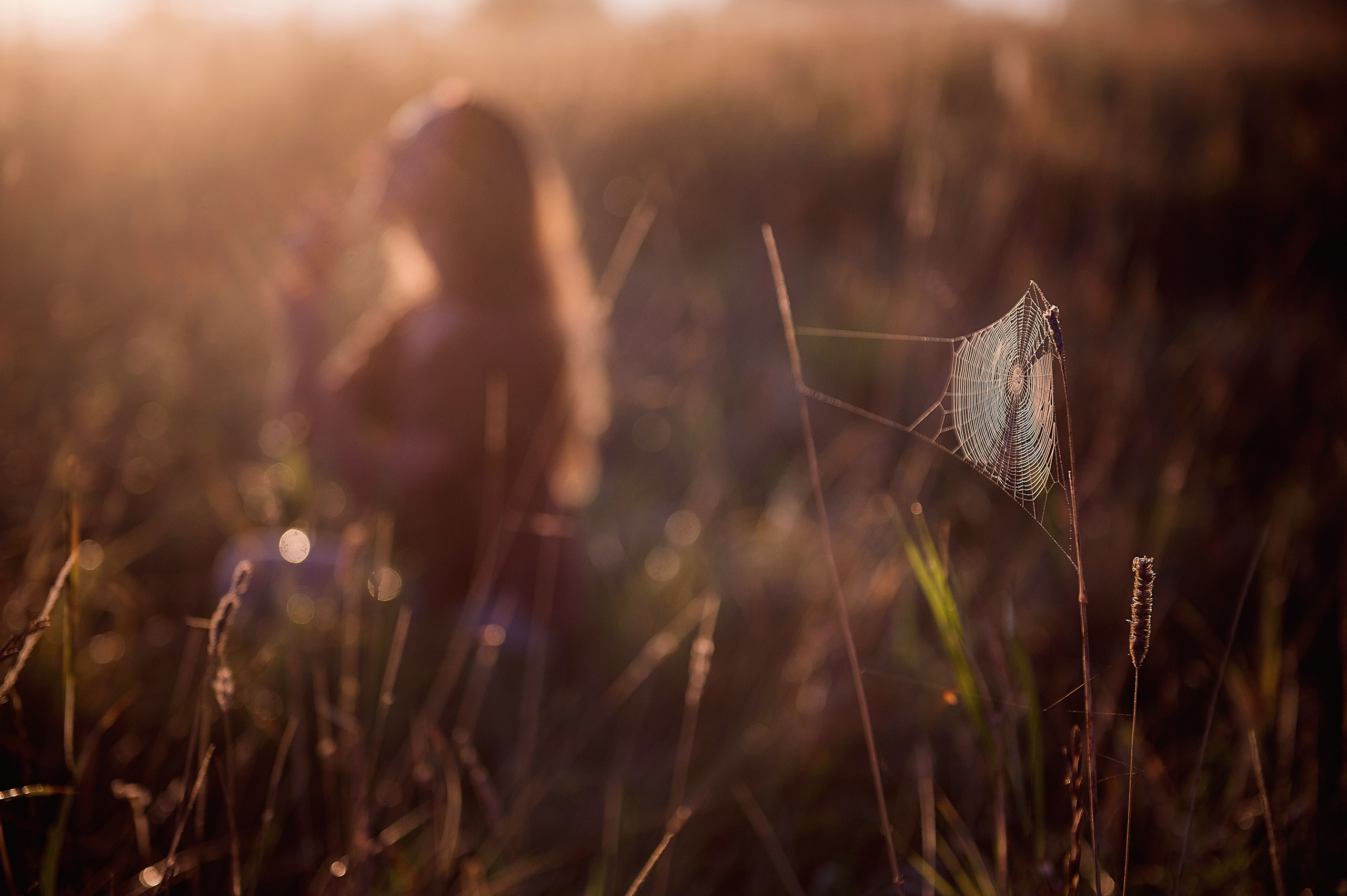 ФОТОПРОГУЛКИ. Фотограф Вера Демидкова