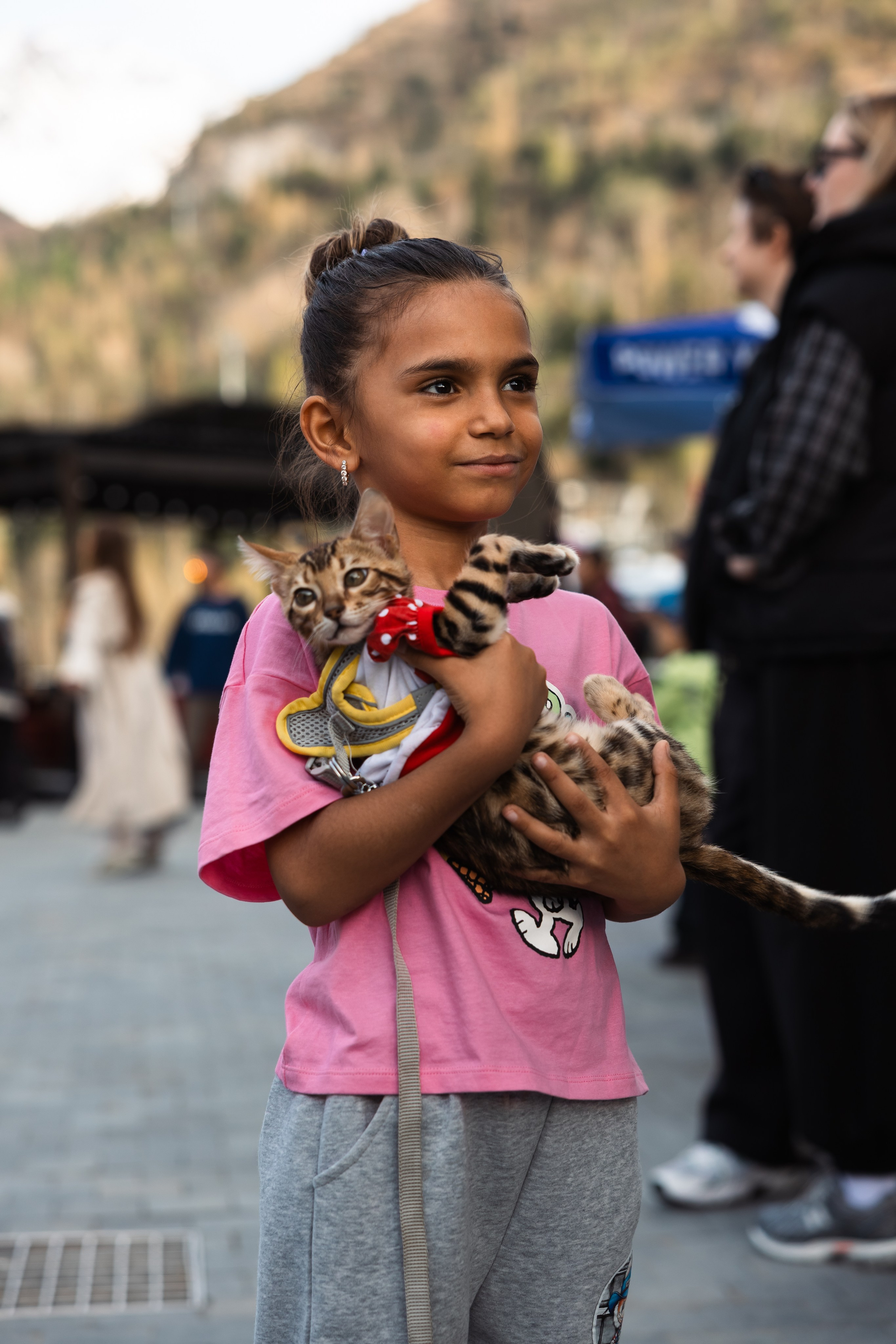 GORILLA GROOVE STAGE IMBA CAMP 5. Gorillaenergymedia