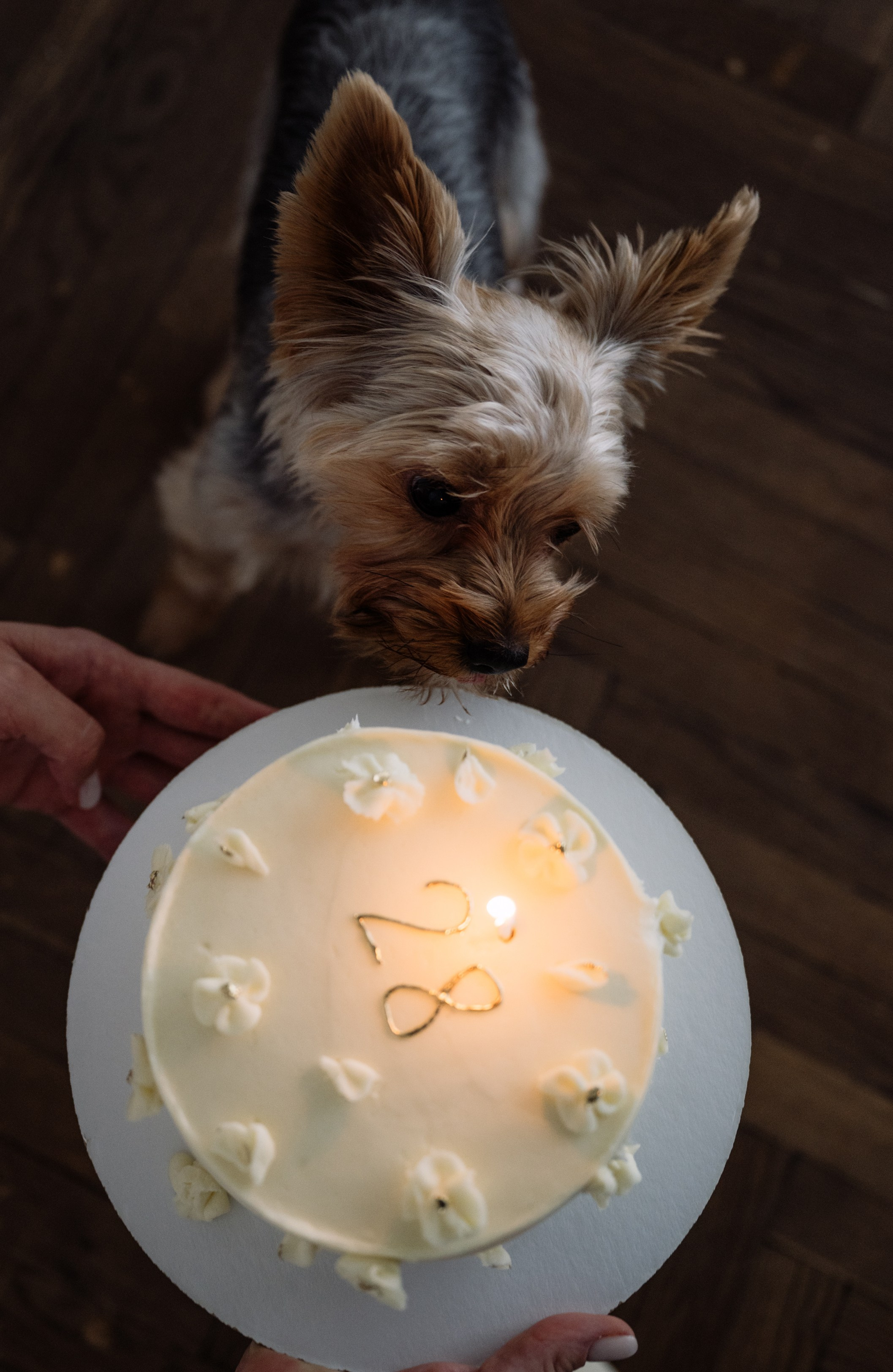 Анна и Дастин. Фотограф в Москве Алёна Степутенко