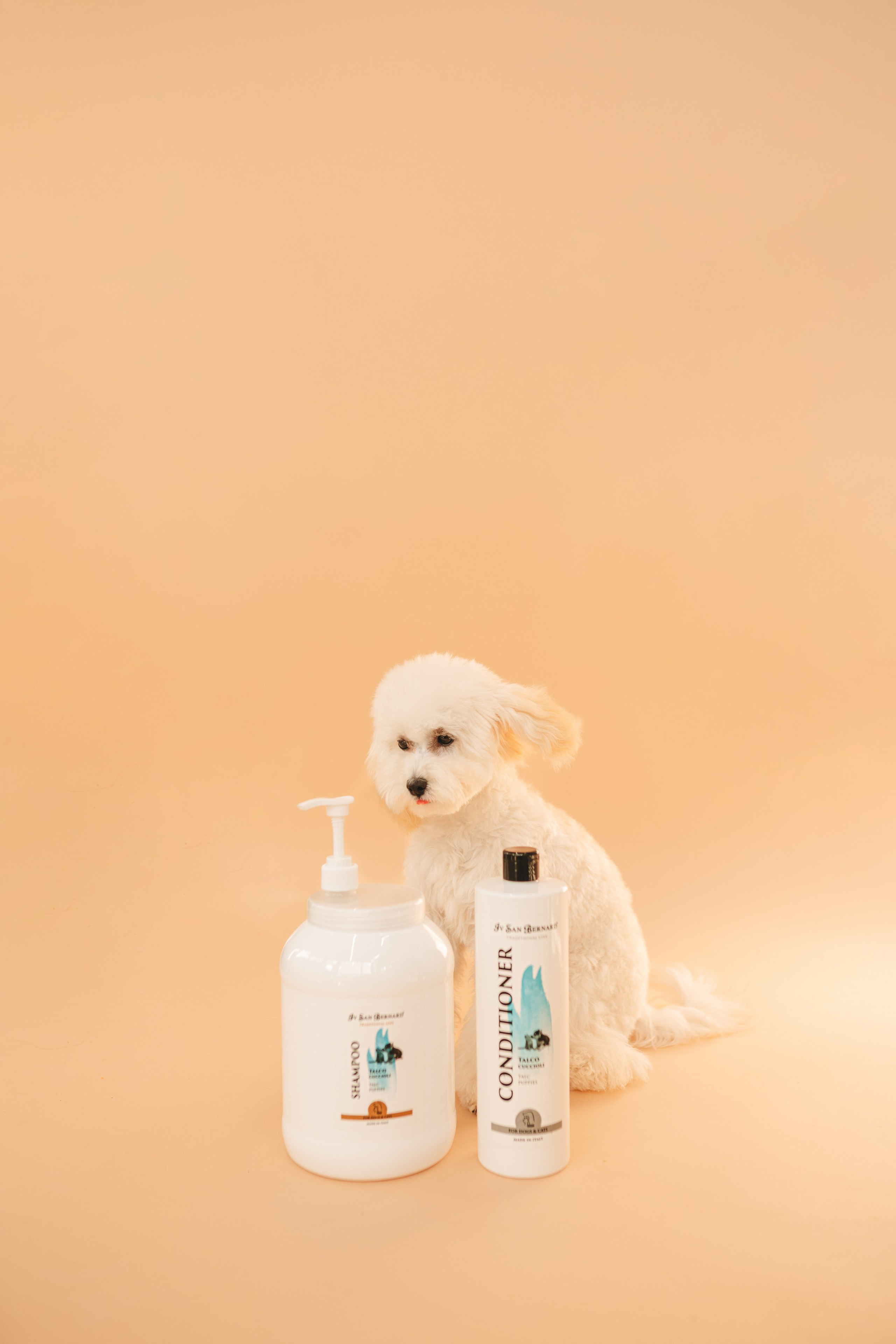 Груминг — салон. Фотограф анималист Осипчикова Мария