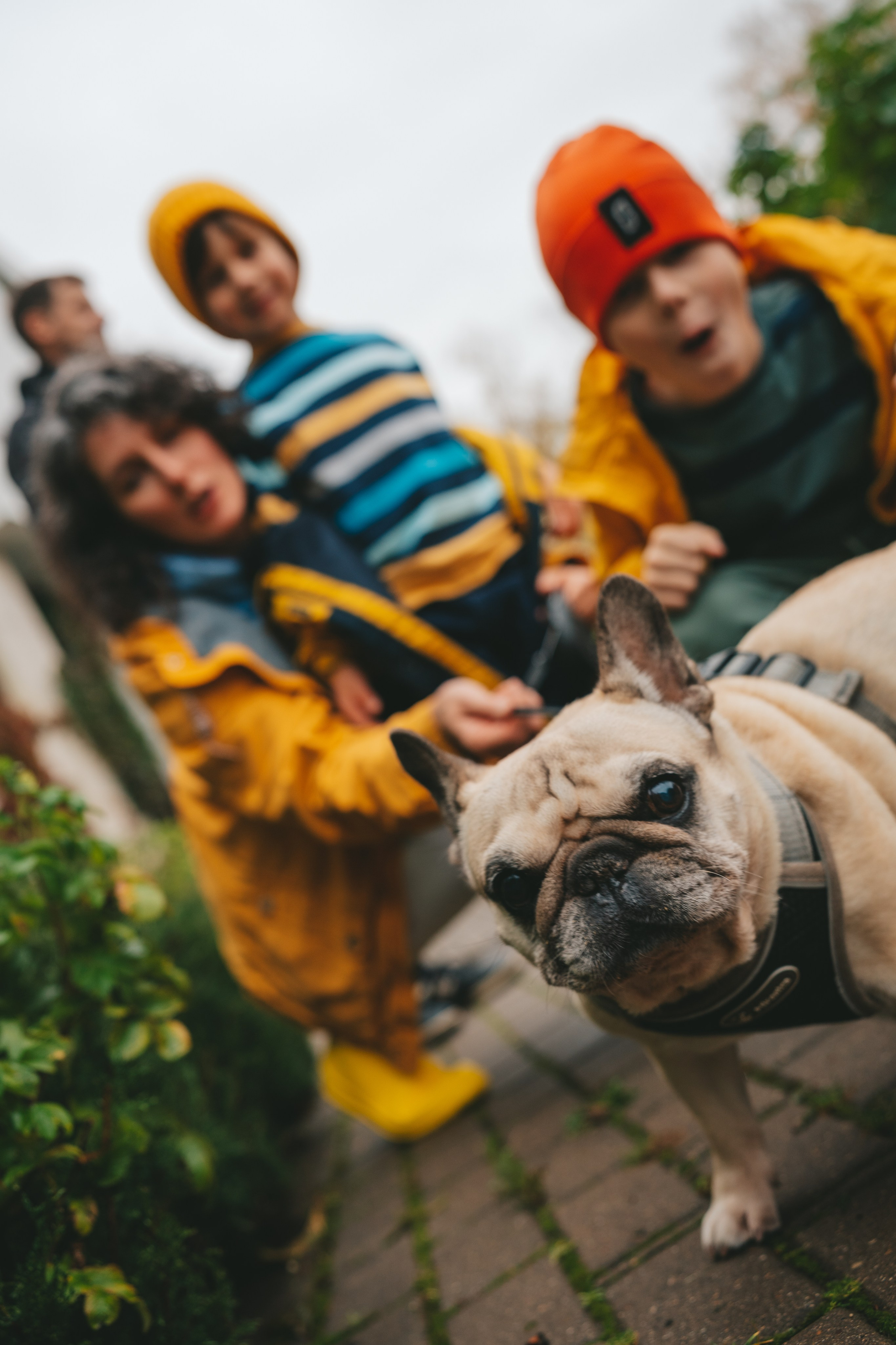 Осенняя семейная прогулка. Фотограф Екатерина Канчалаба
