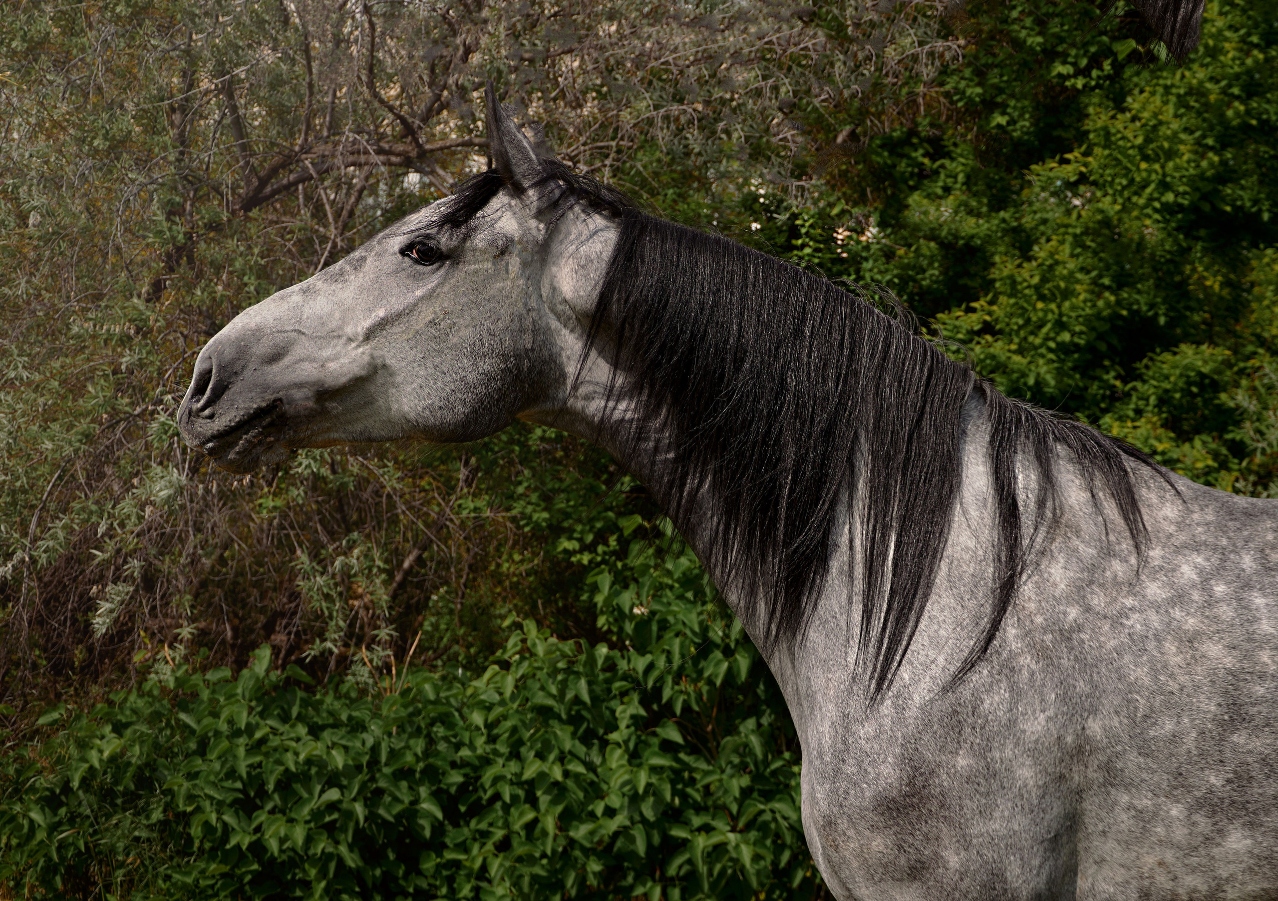 Глазурь. Фотограф в Севастополе