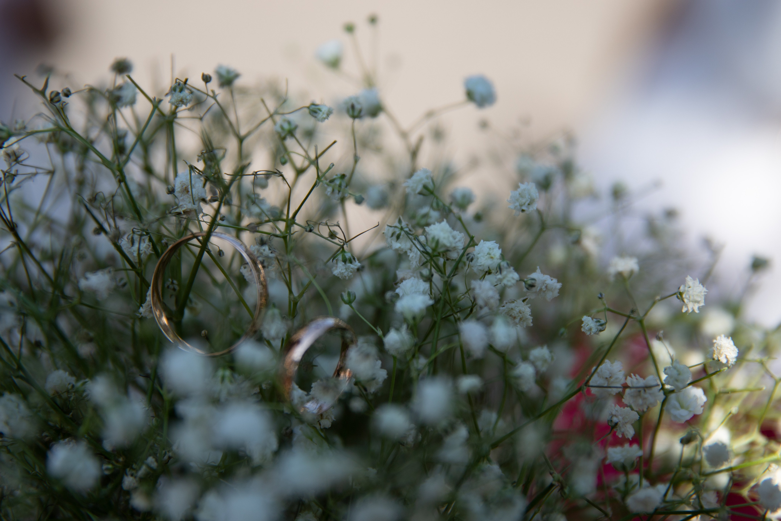 Катя и Рома. Семейный и свадебный фотограф Минск, Барановичи Ольга Пахомова