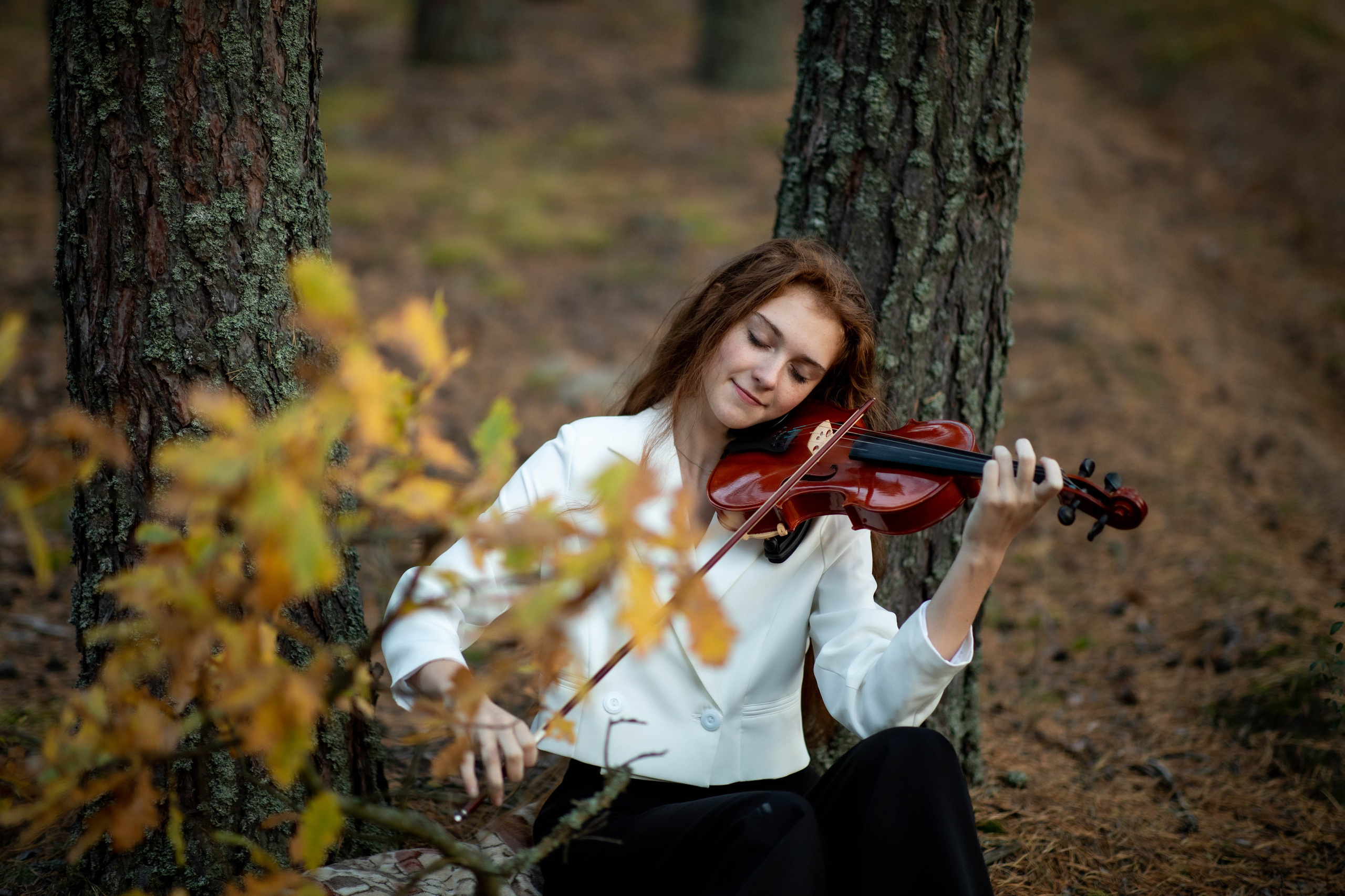 Скрипка и осень