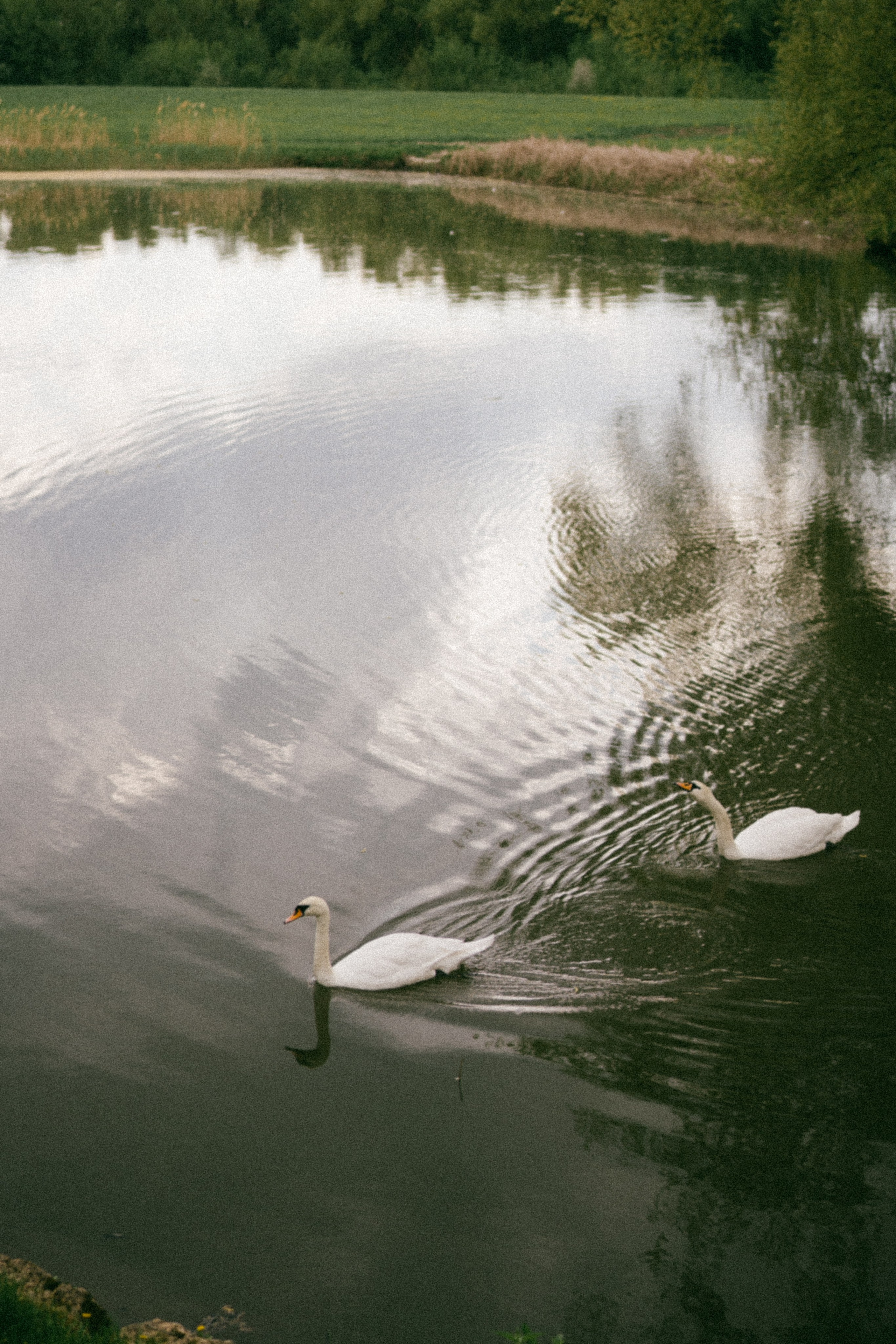 Апрель в душе. Свадебный фотограф Марина Бобкова в Липецке, Воронеже, Москва