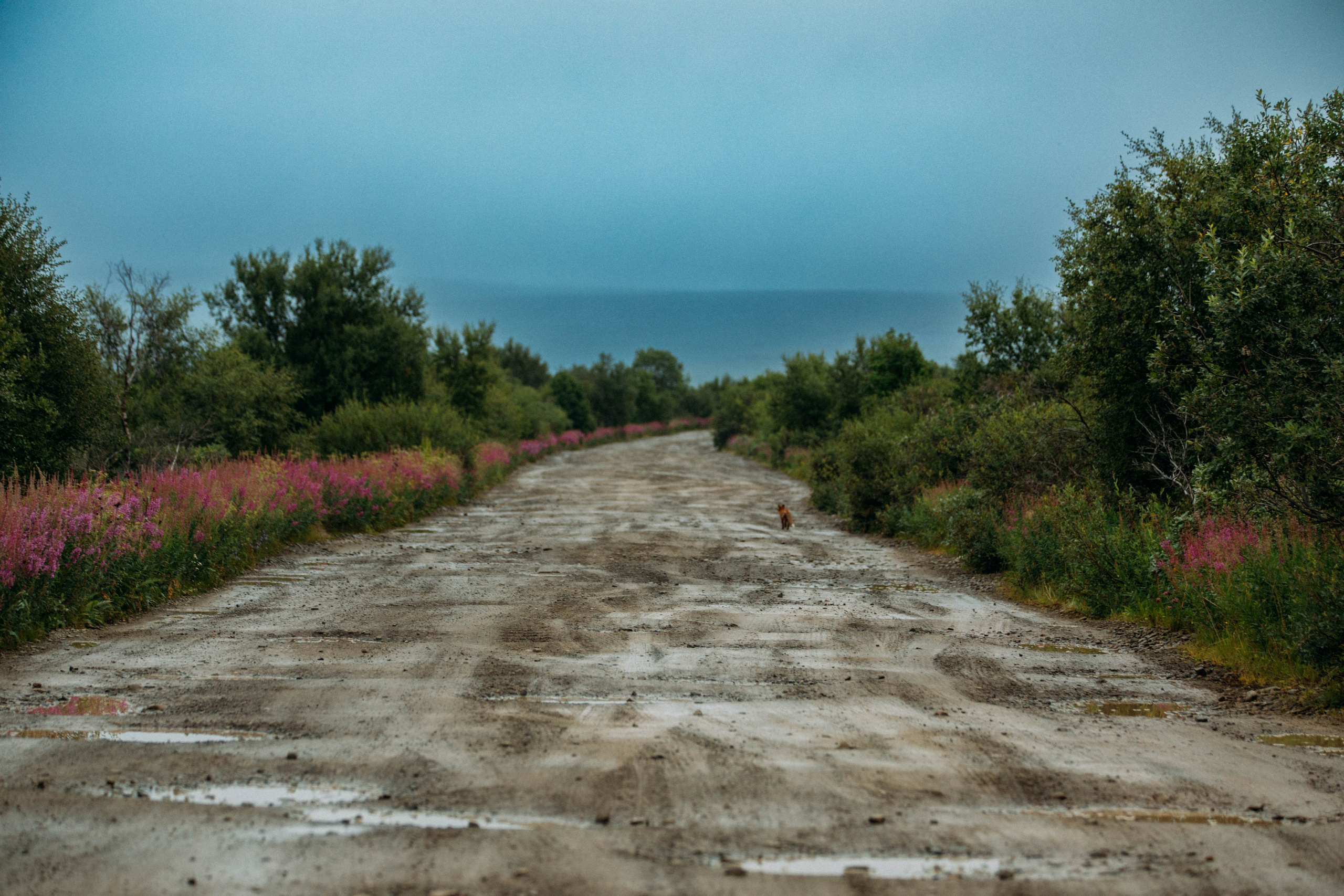 Кольский полуостров. Фотографирую для себя, своей семьи и друзей!