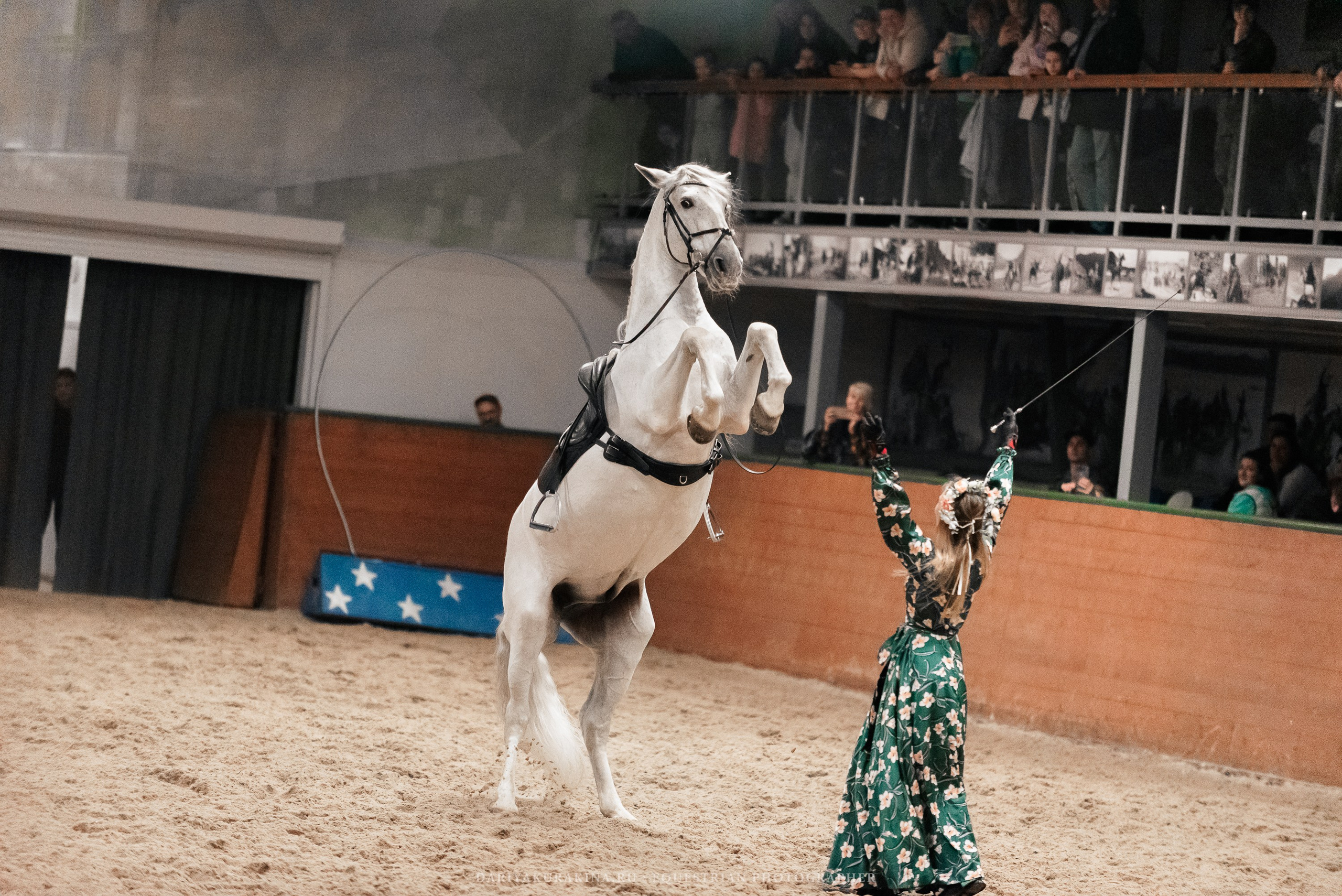 Конное представление «Дыхание Звёзд». Конный фотограф Куракина Дарья • Фотосессии с лошадьми