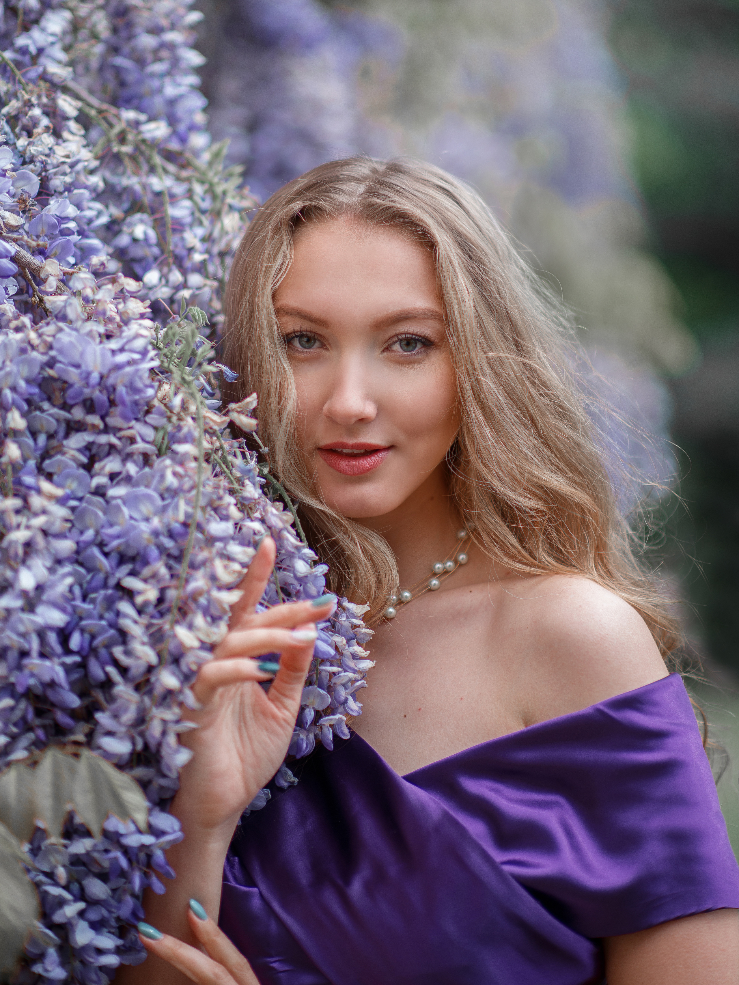 Где и когда цветет глициния в Севастополе