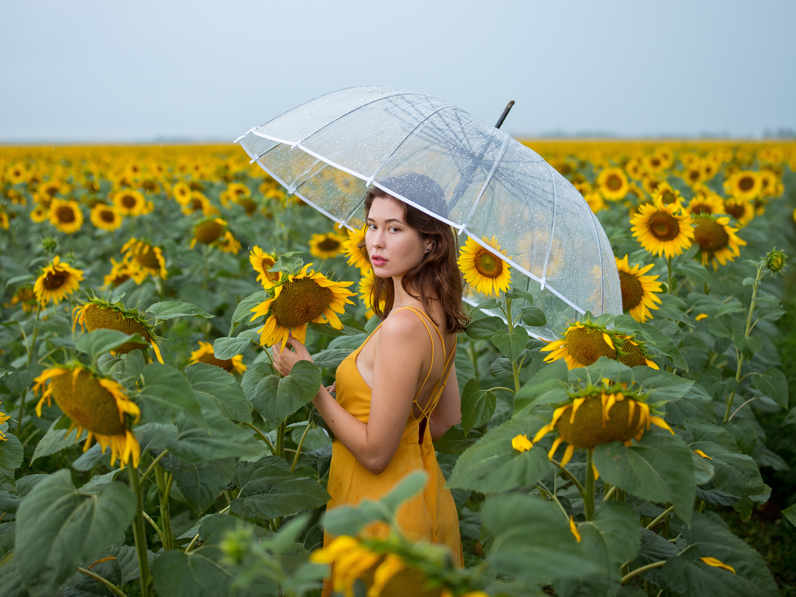 фотосессия в подсолнухах в Крыму
