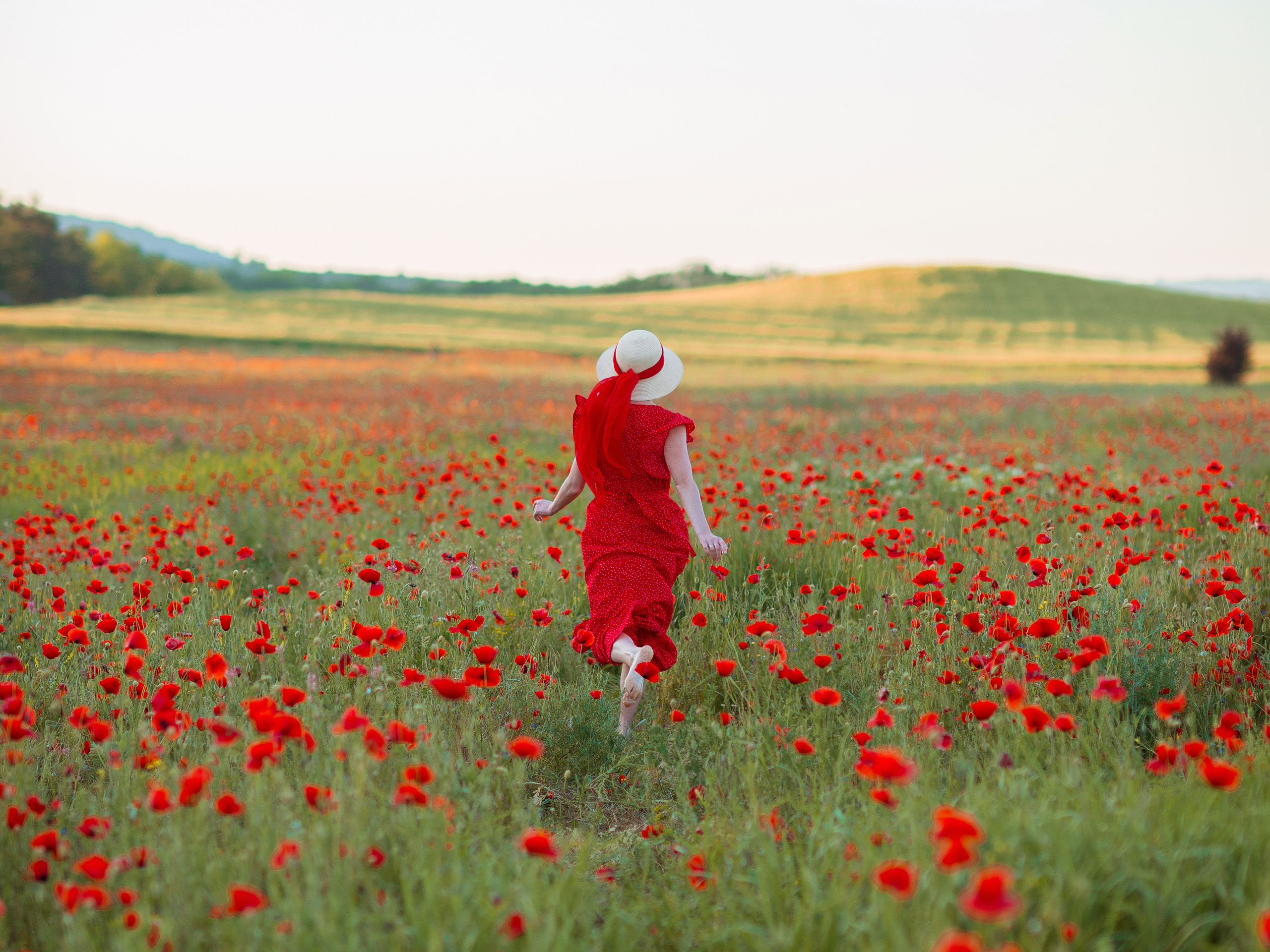 Фотосессия в маковом поле в Крыму и Севастополе