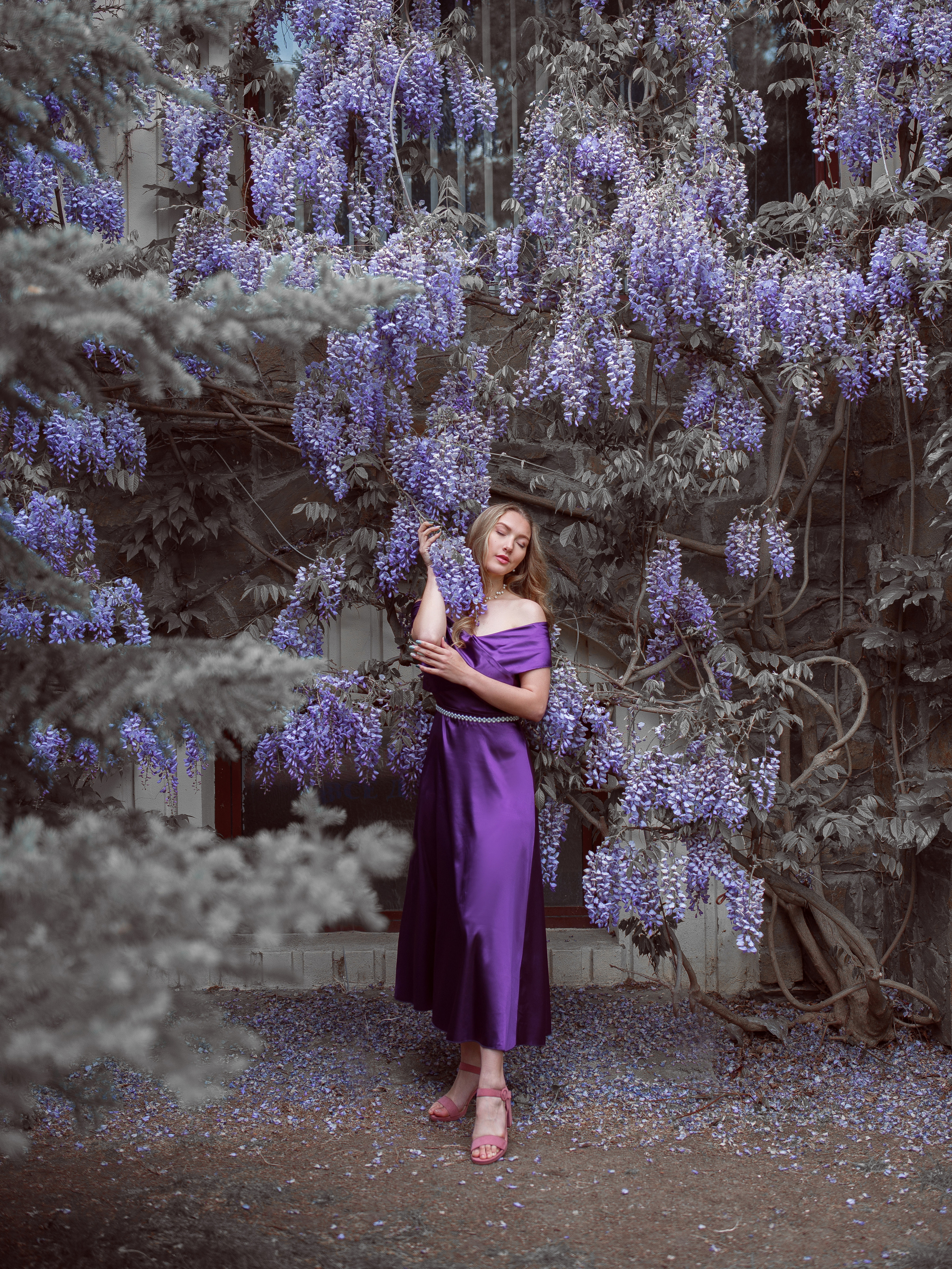 Фотосессия в цветущей глицинии в Симеизе (Крым)
