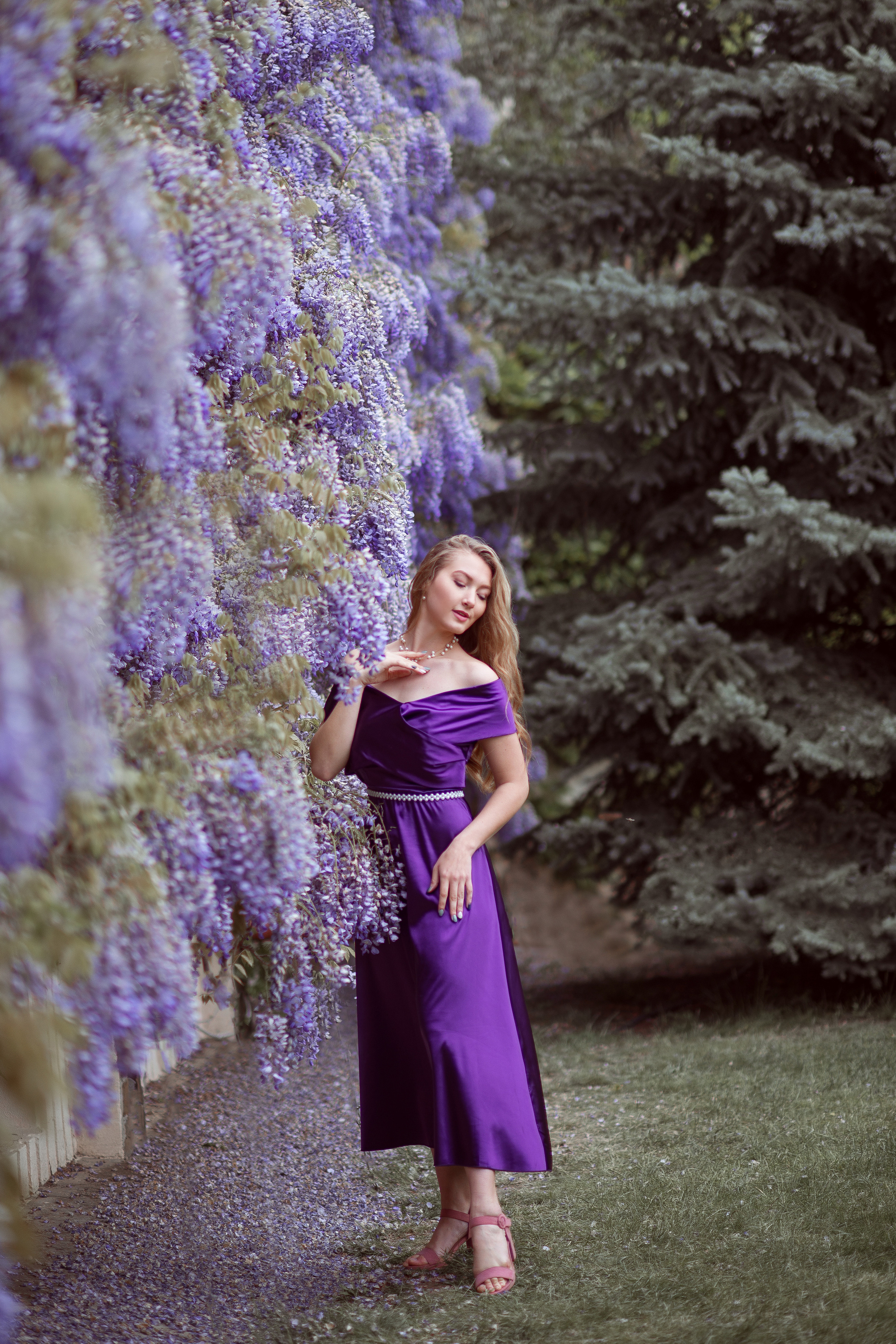Фотосессия в глицинии в Любимовке (Крым, Севастополь)