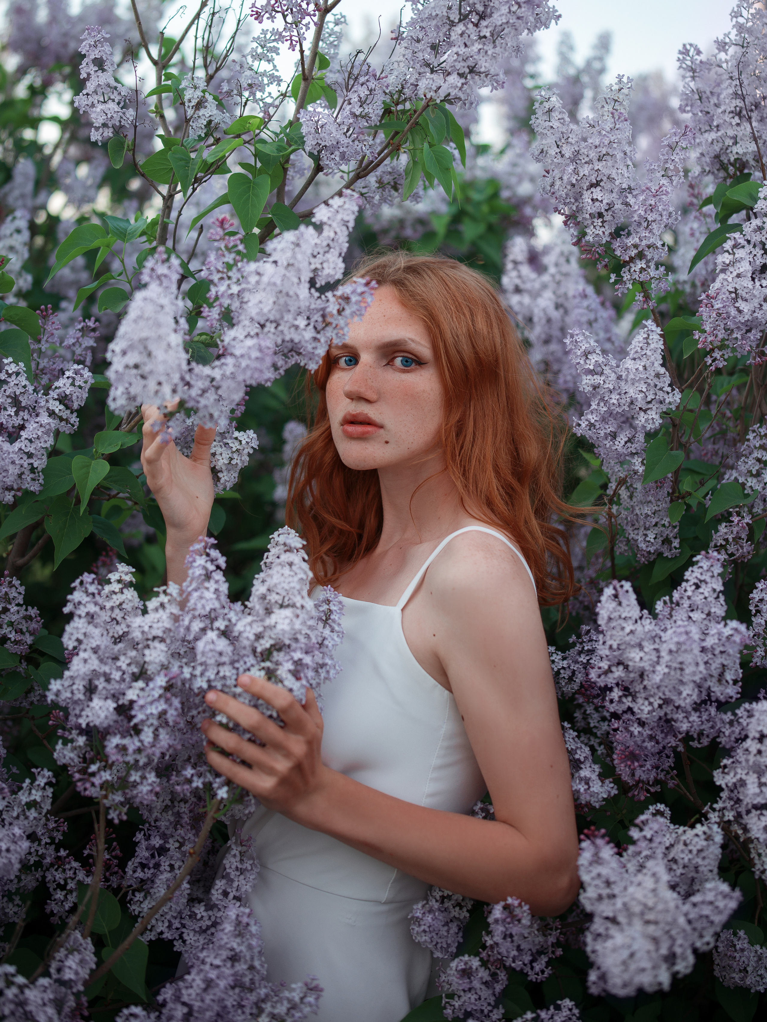 Фотографии в сиреневых кустах в период цветения в Севастополе