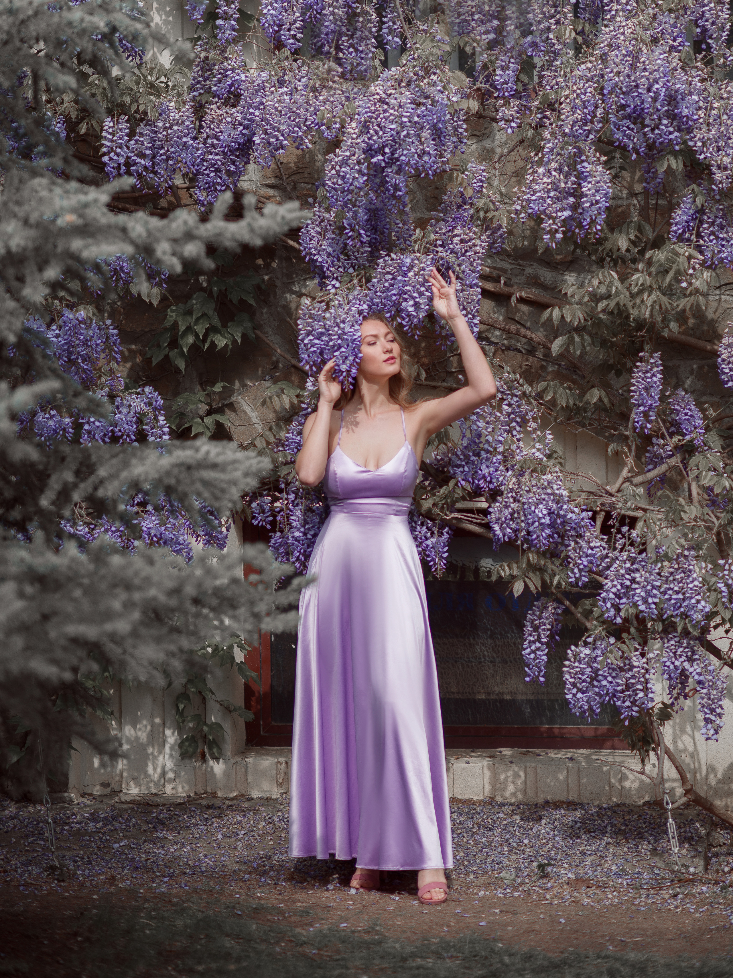 Фотографии девушки в глицинии в Крыму