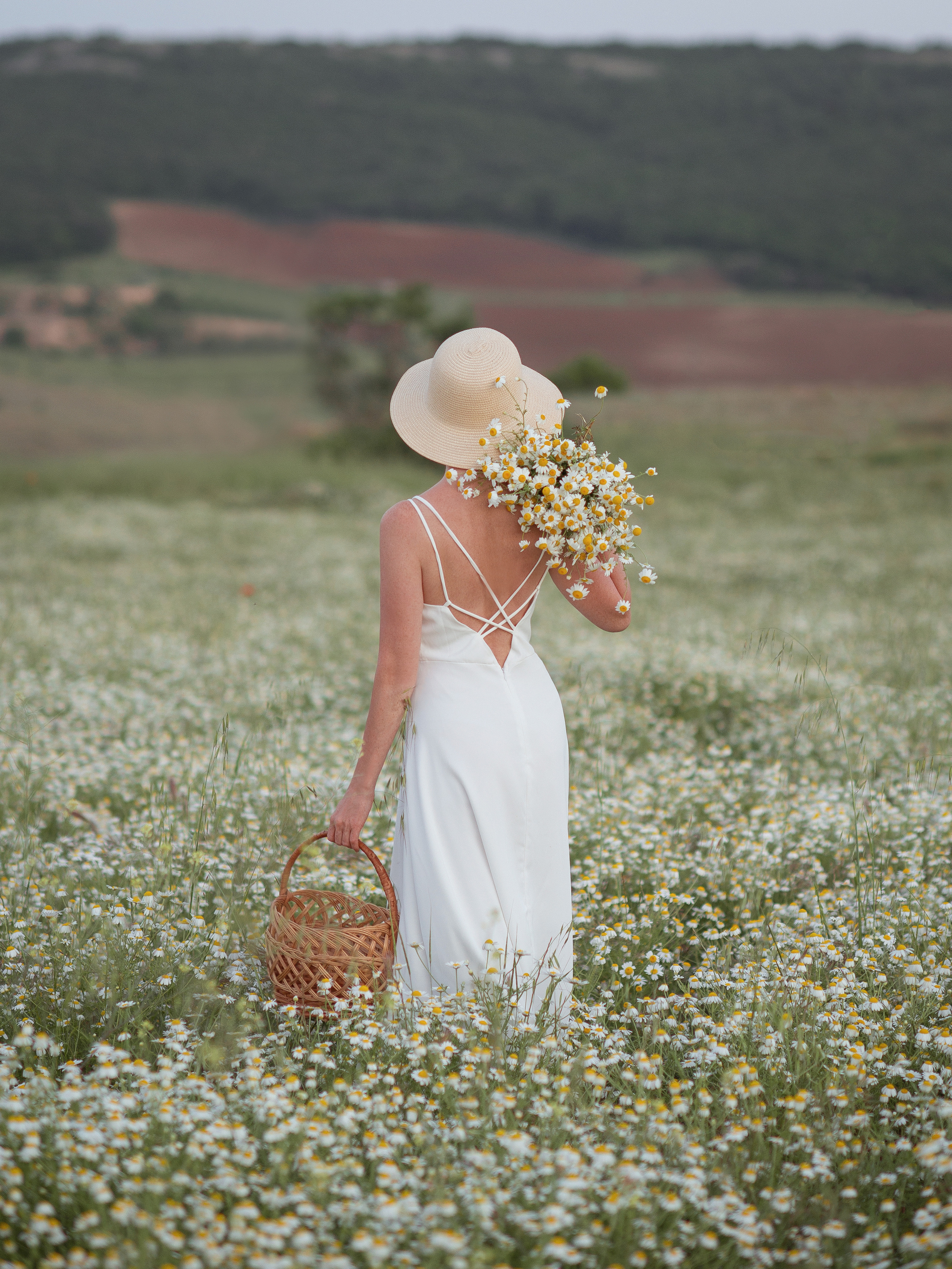 Женский портрет в цветущих ромашковых полях в Севастополе и Крыму