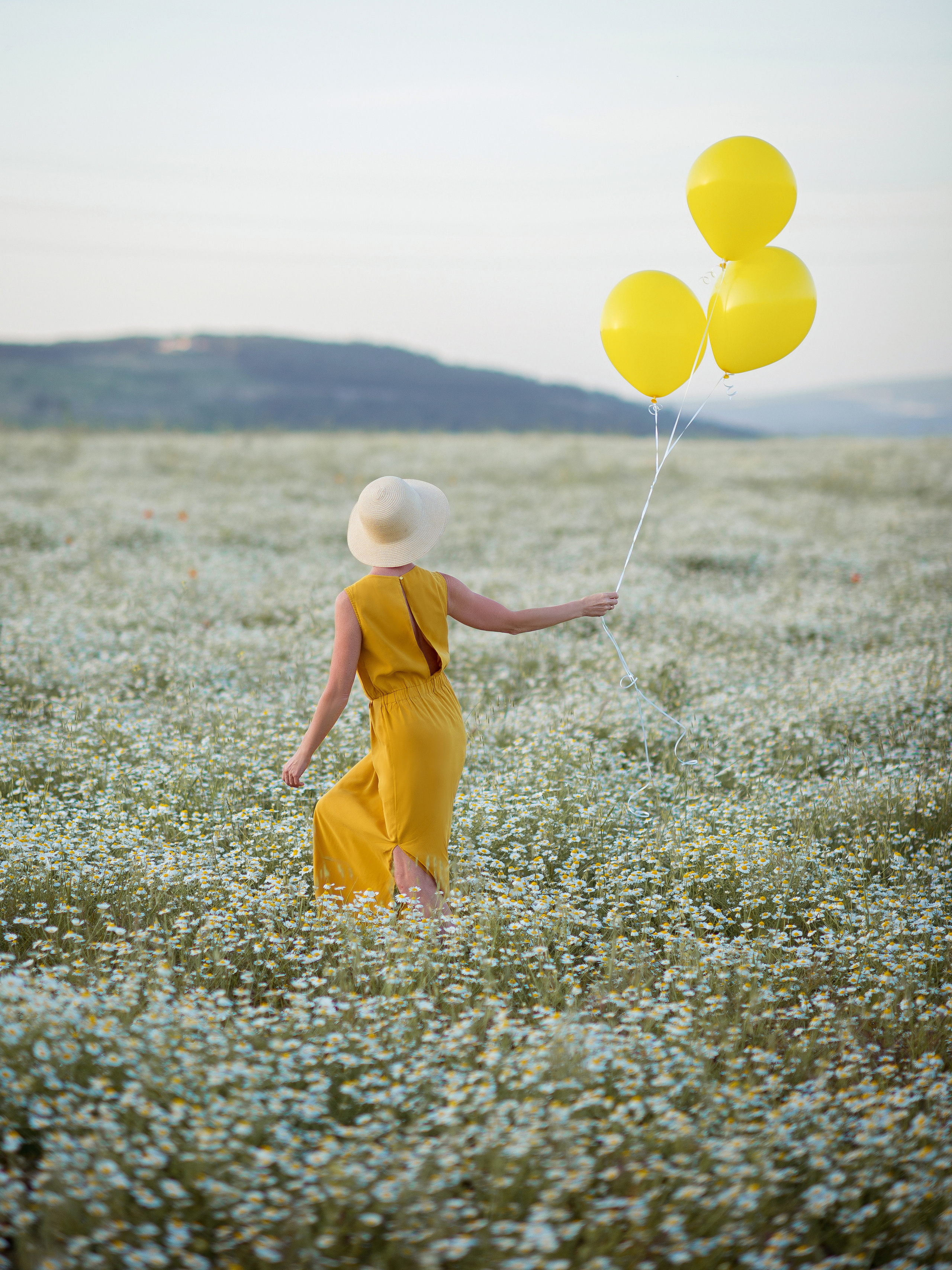 Фотосессия в ромашковом поле в Крыму (Севастополь)