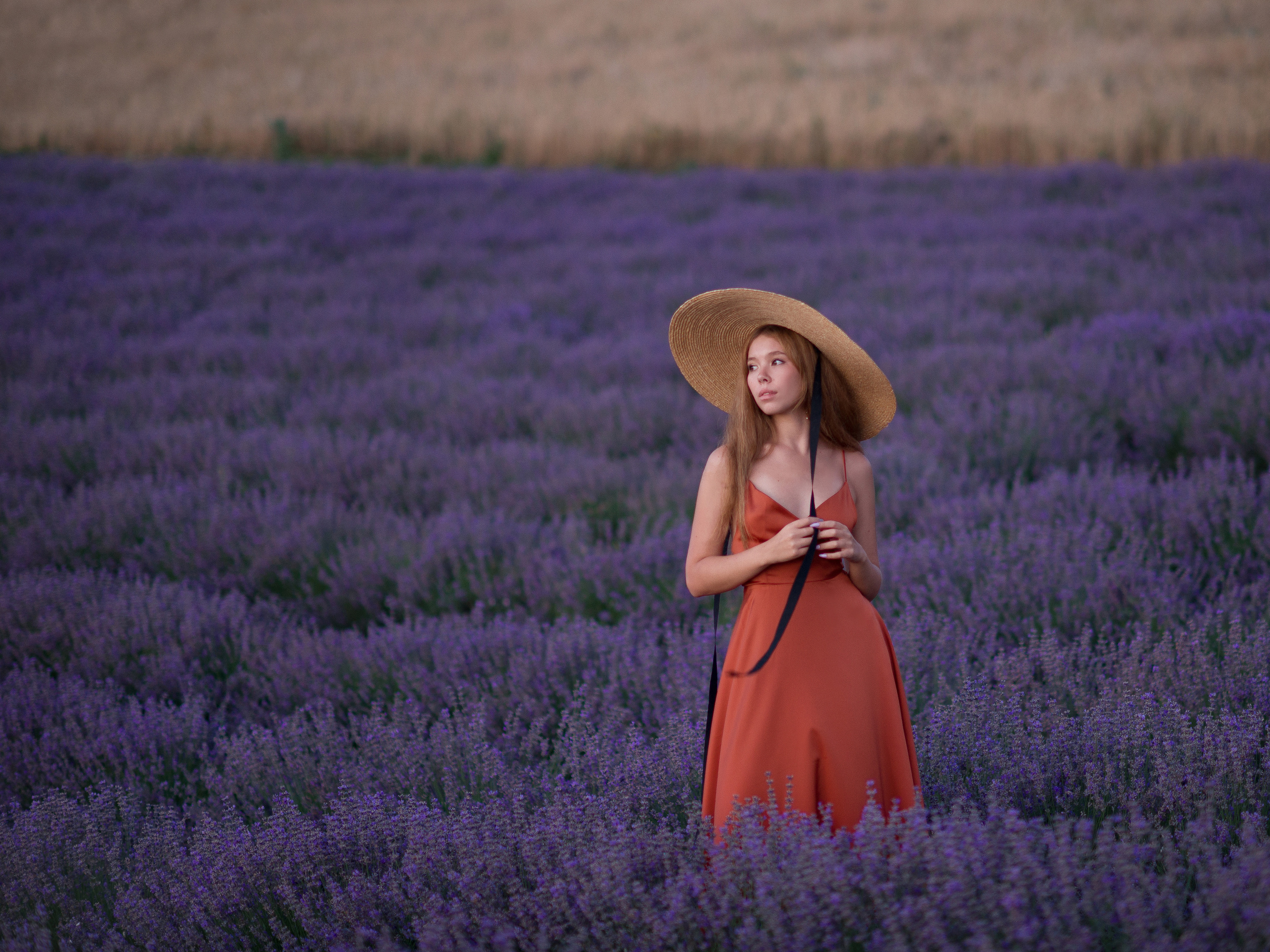 Фотосессия на лавандовом поле в Тургеневке (Крым)