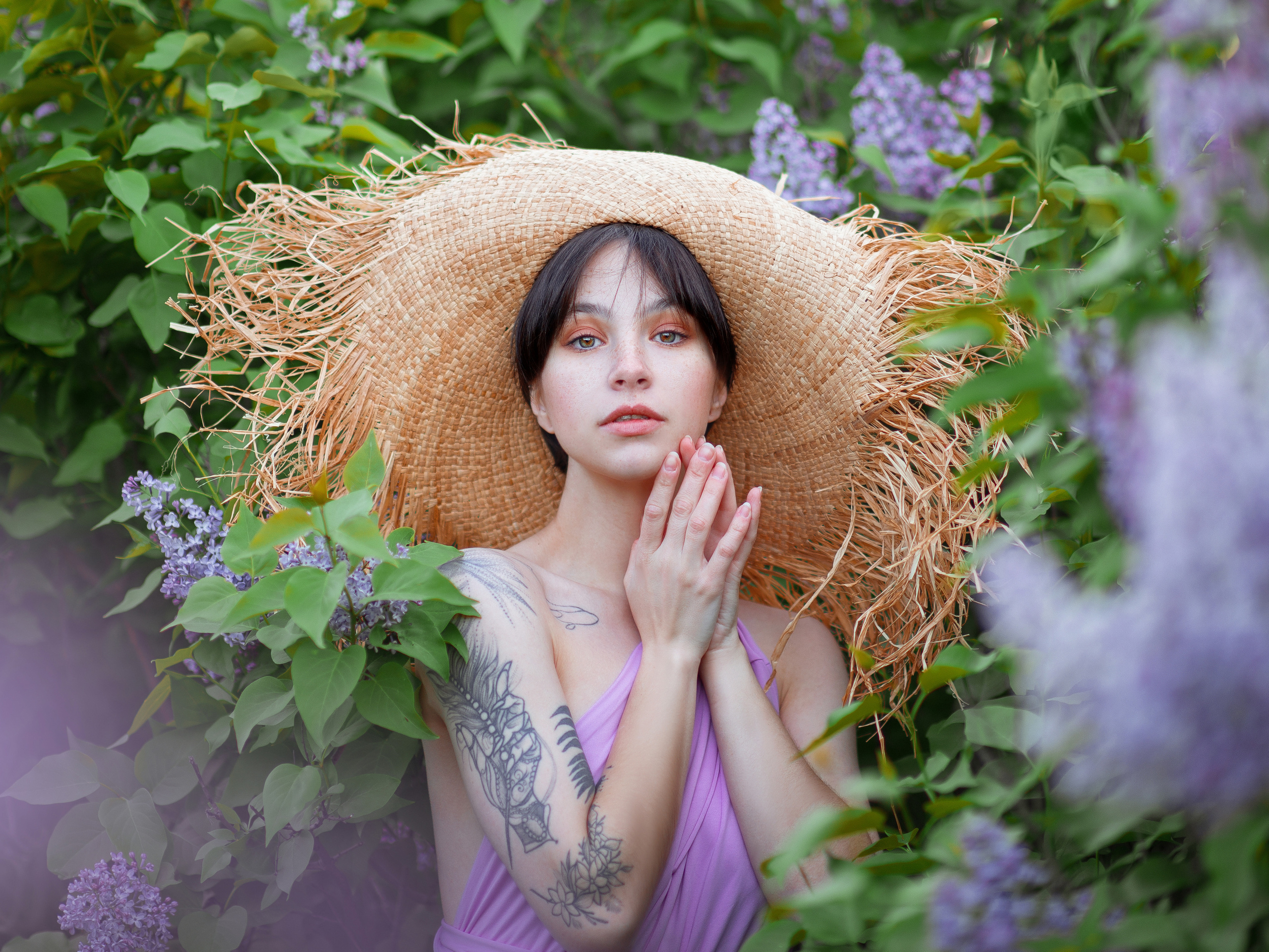 Самые красивые кусты сирени в Севастополе