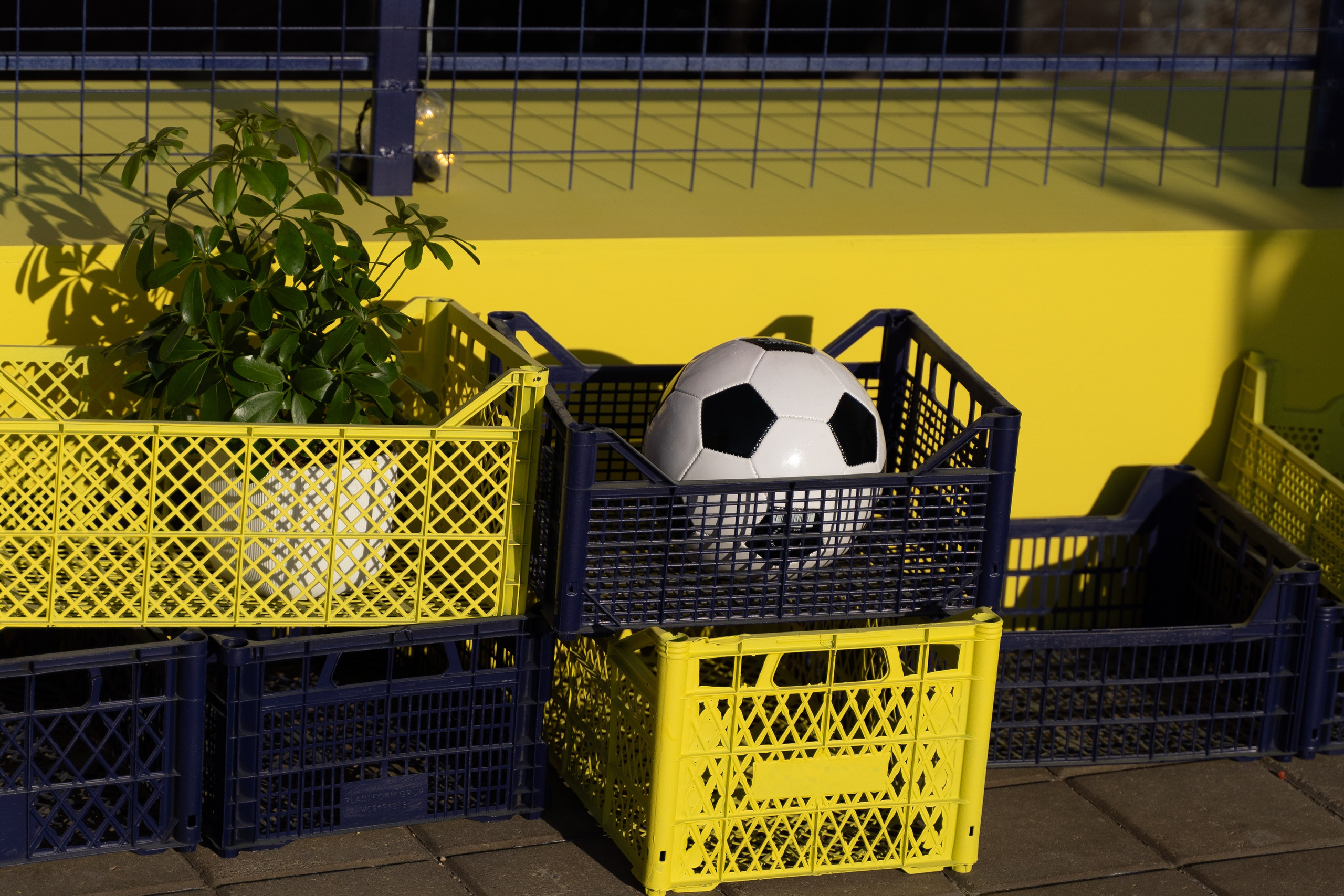 FONBET. Свадебный фотограф  Ростов-на-Дону Моска, Санкт — Петербург