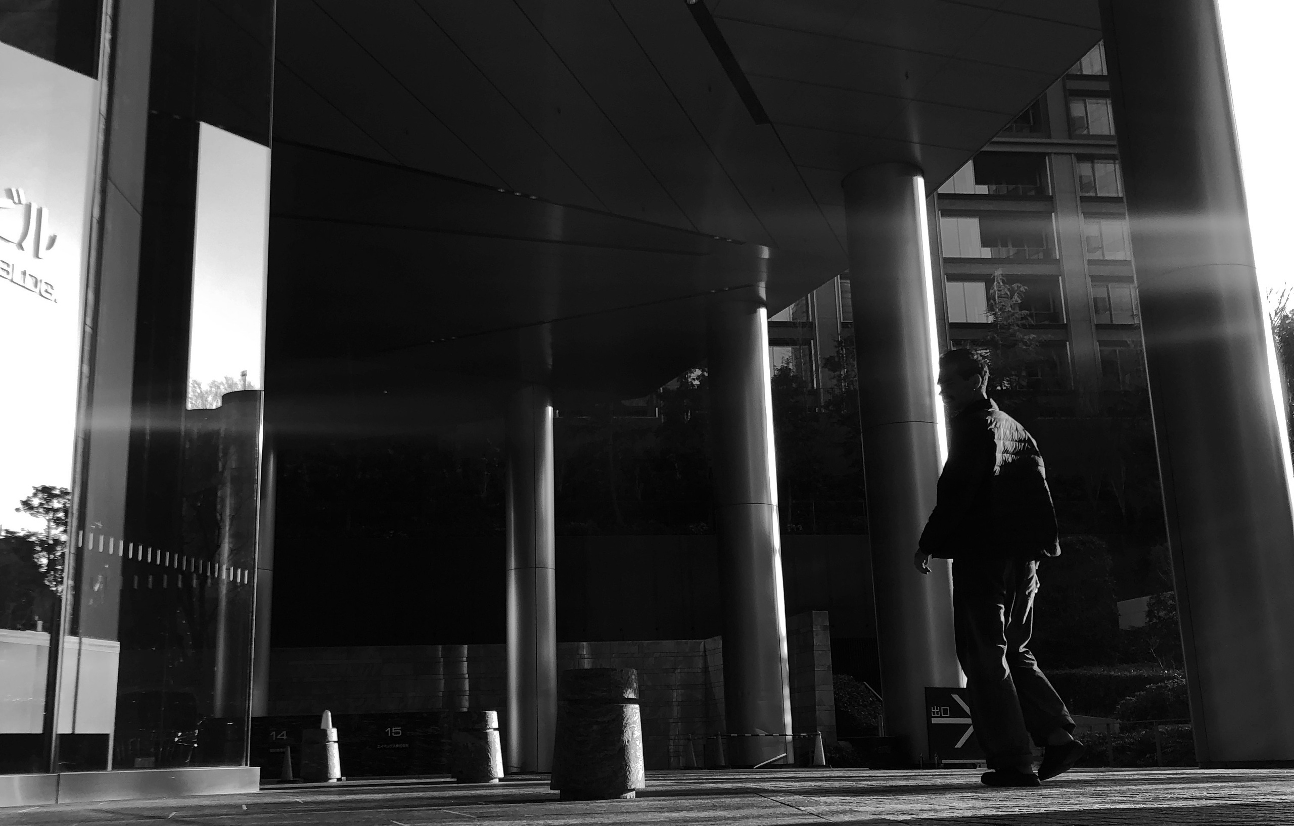 Кисловодск — Токио. Смотри, красота!