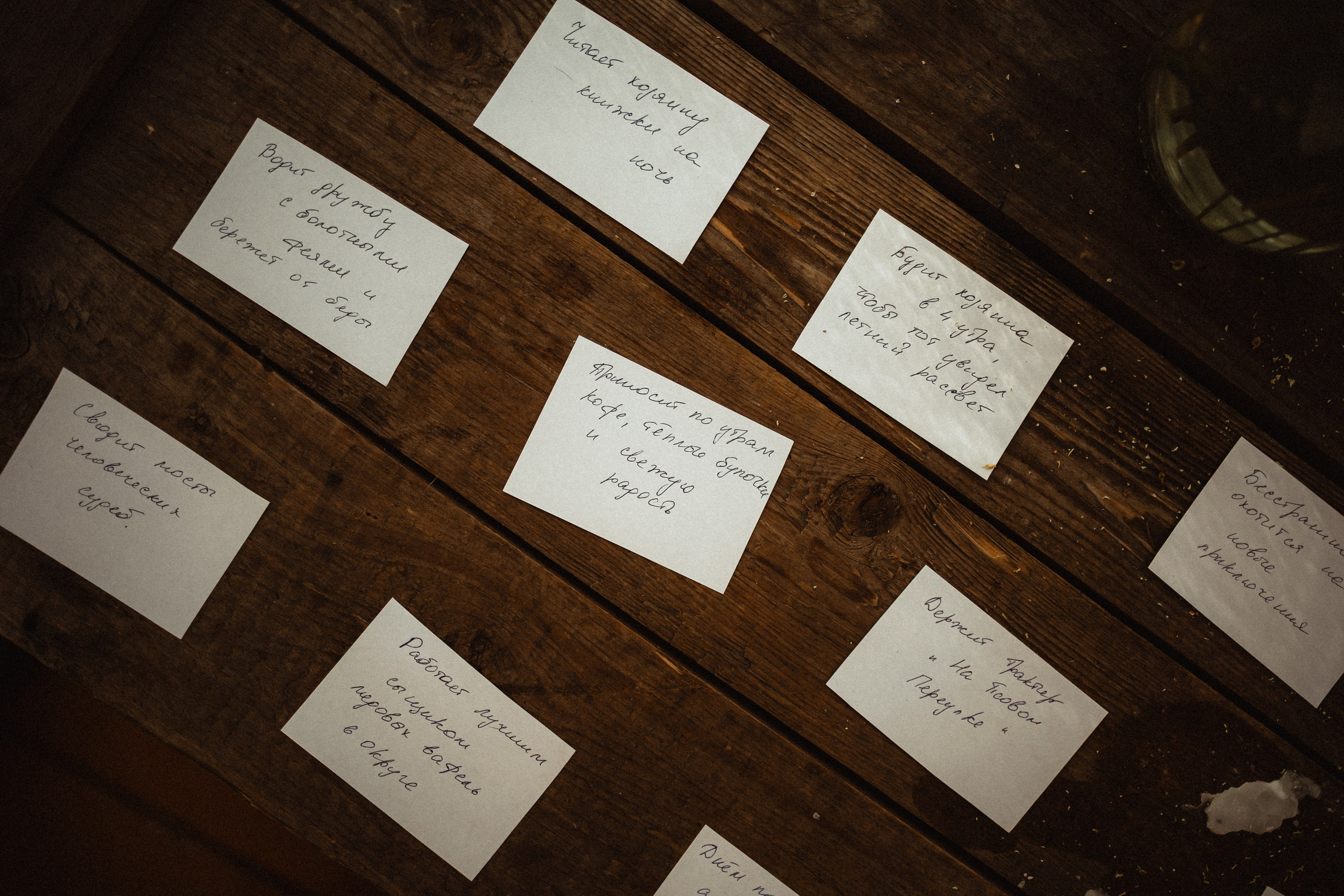 Выездной дог-тренинг от школы «Шерсть имею»