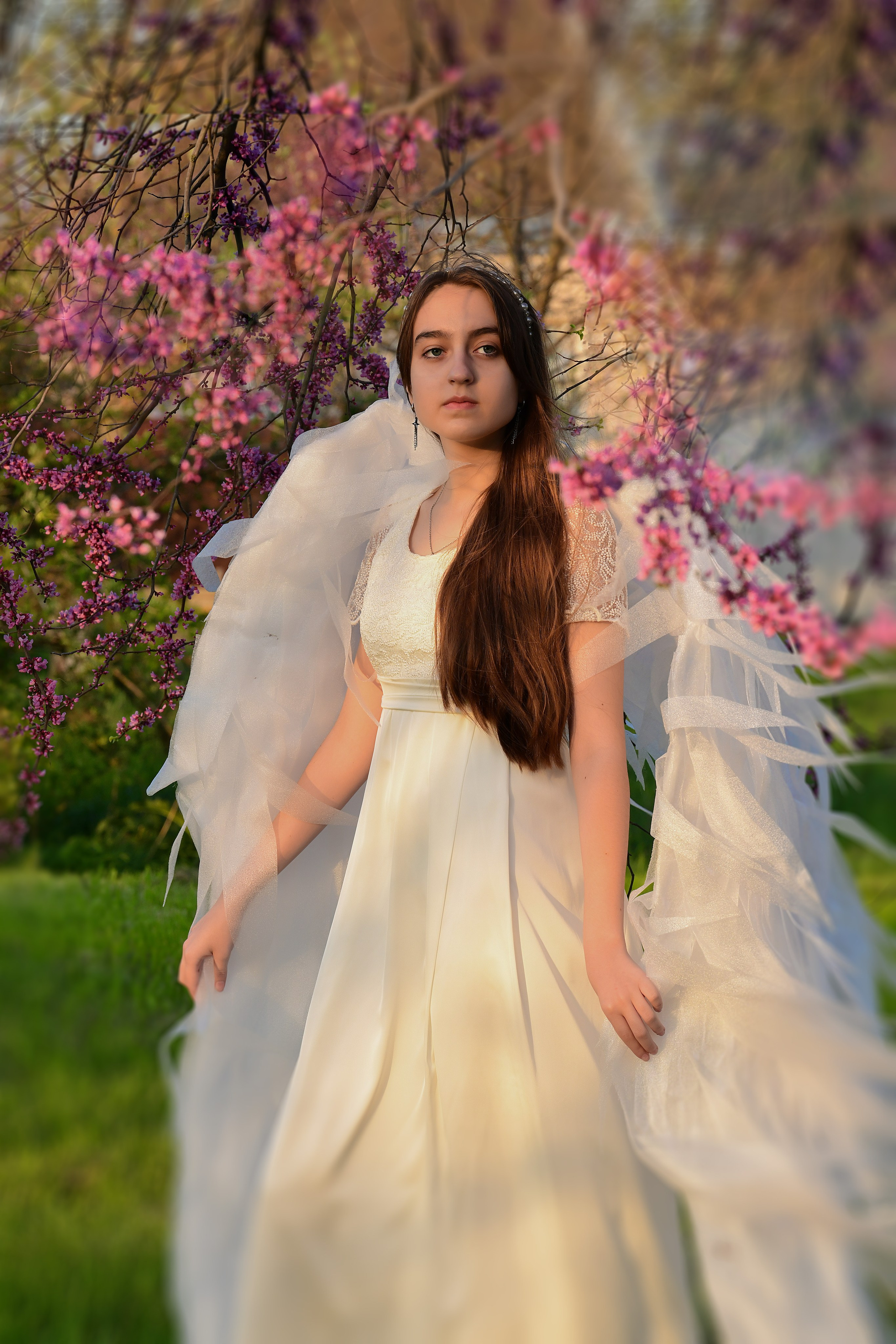 Крылатые истории. Главная