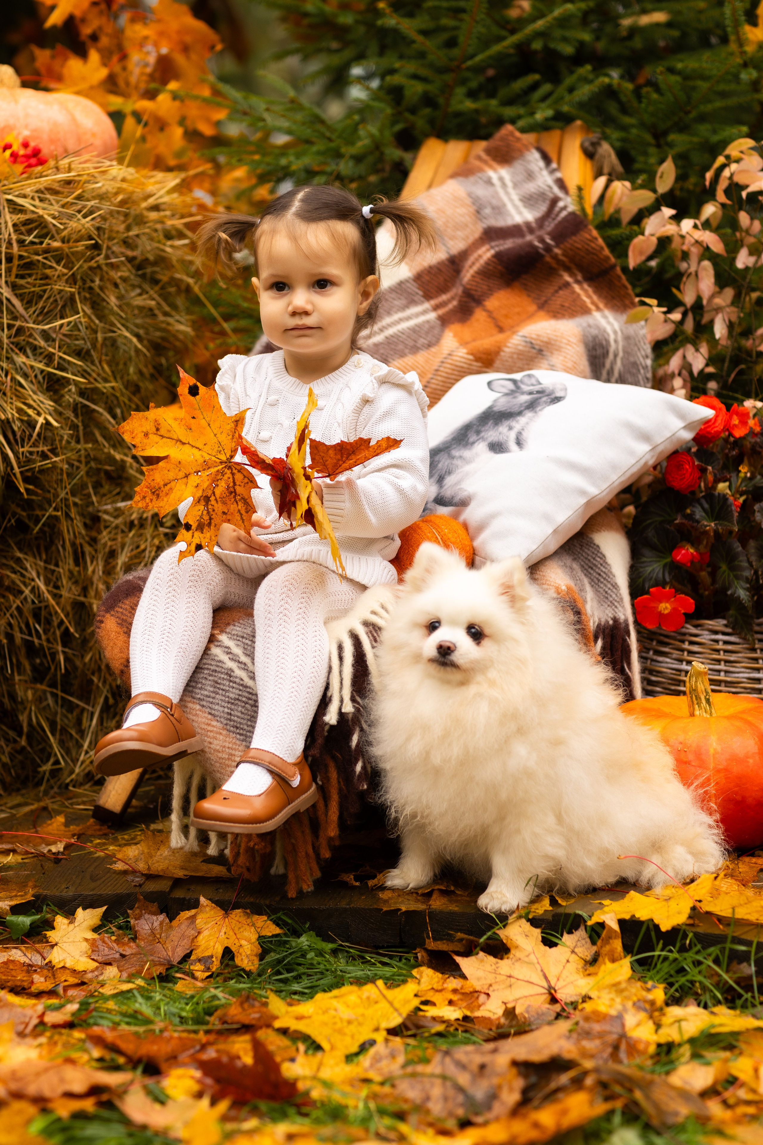 Осень. Профессиональный ретушер Москва и весь мир — Елена Тимченко