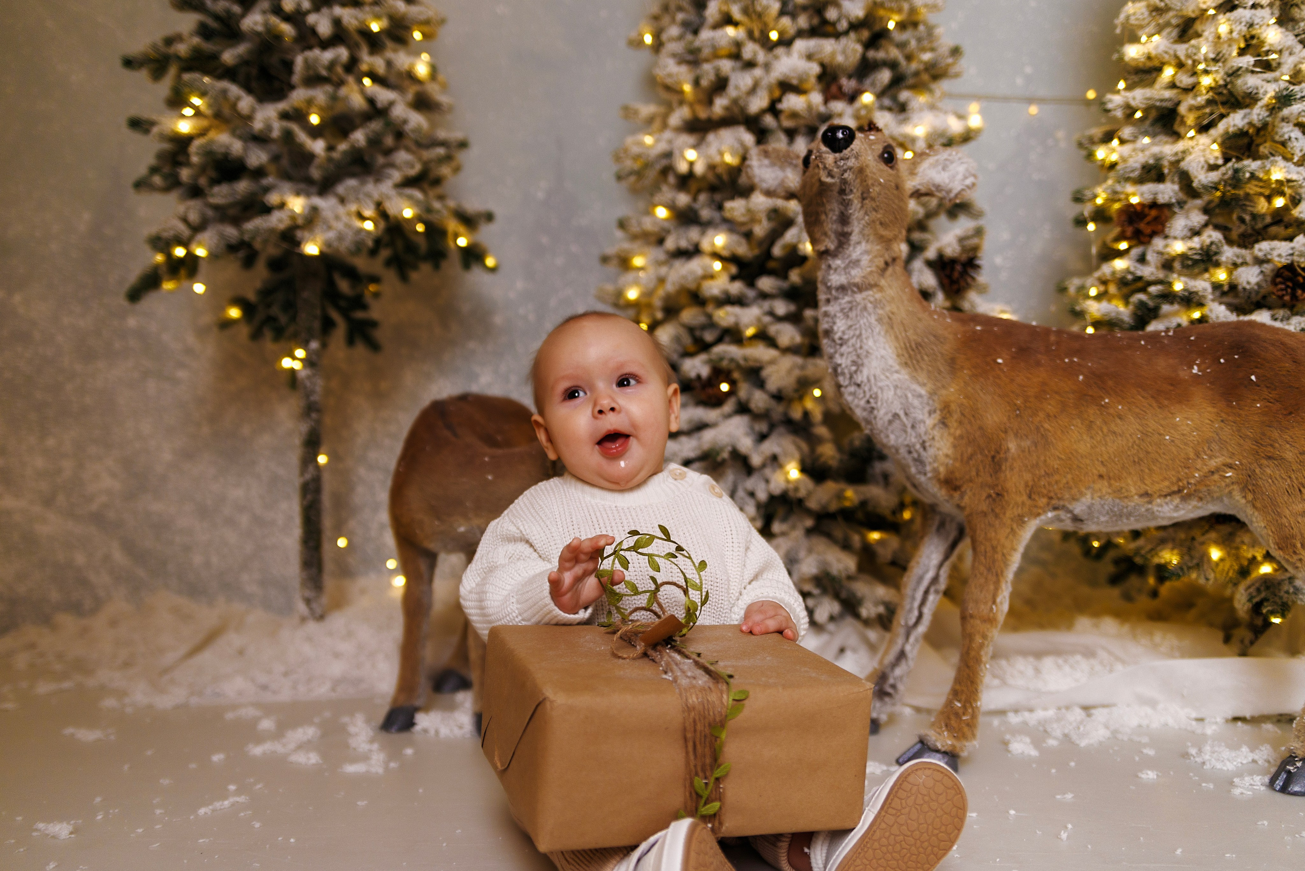 Семейная фотостудия. Семейный, свадебный и детский фотограф в Новосибирске Ольга Хидченко