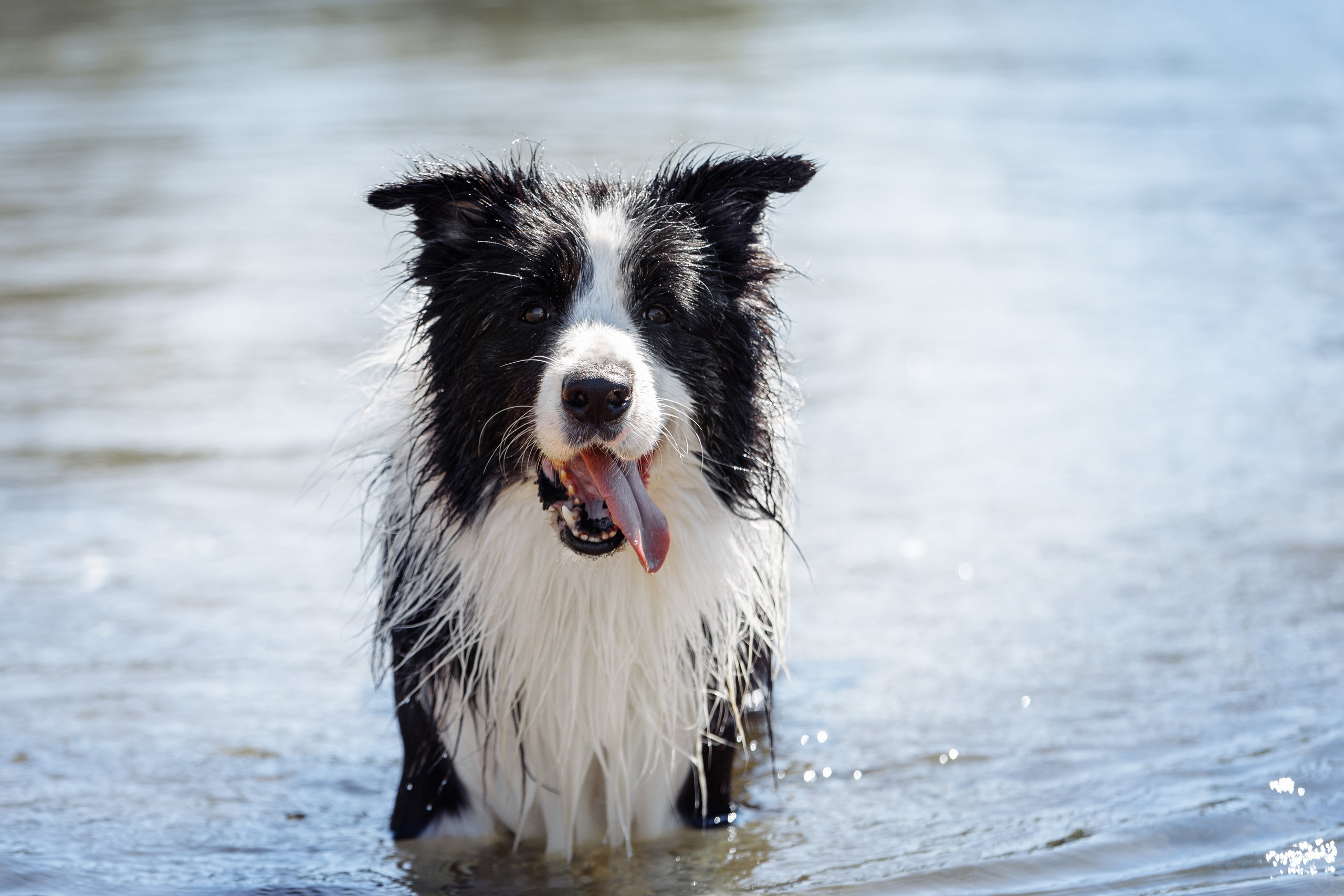 Водяные в Новотроицке. О нас