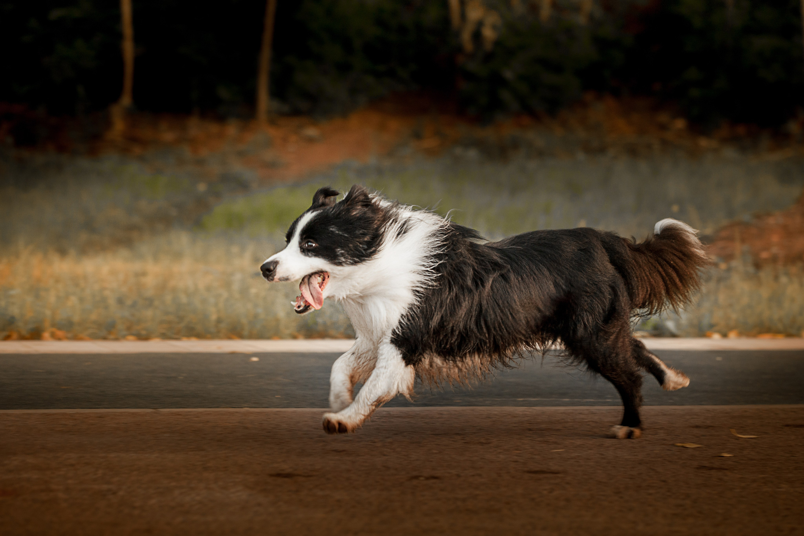 Сочный рассвет, на который решились. О нас